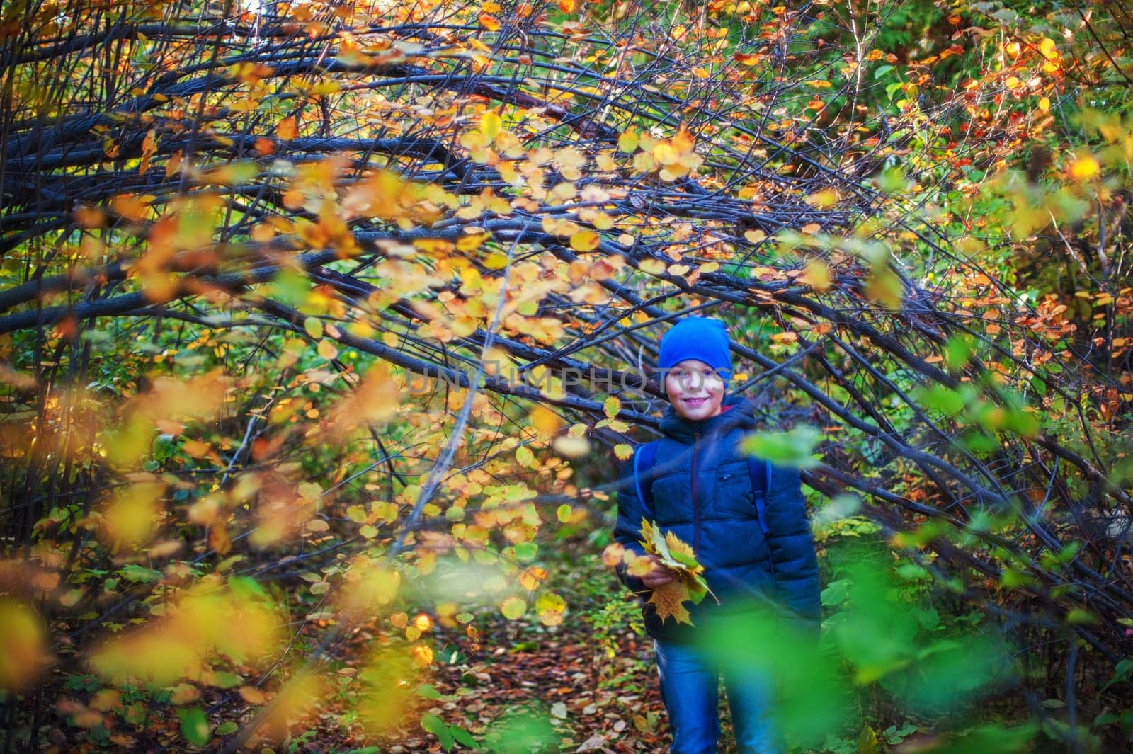 Beauty boy at autumn park in sunny beauty day