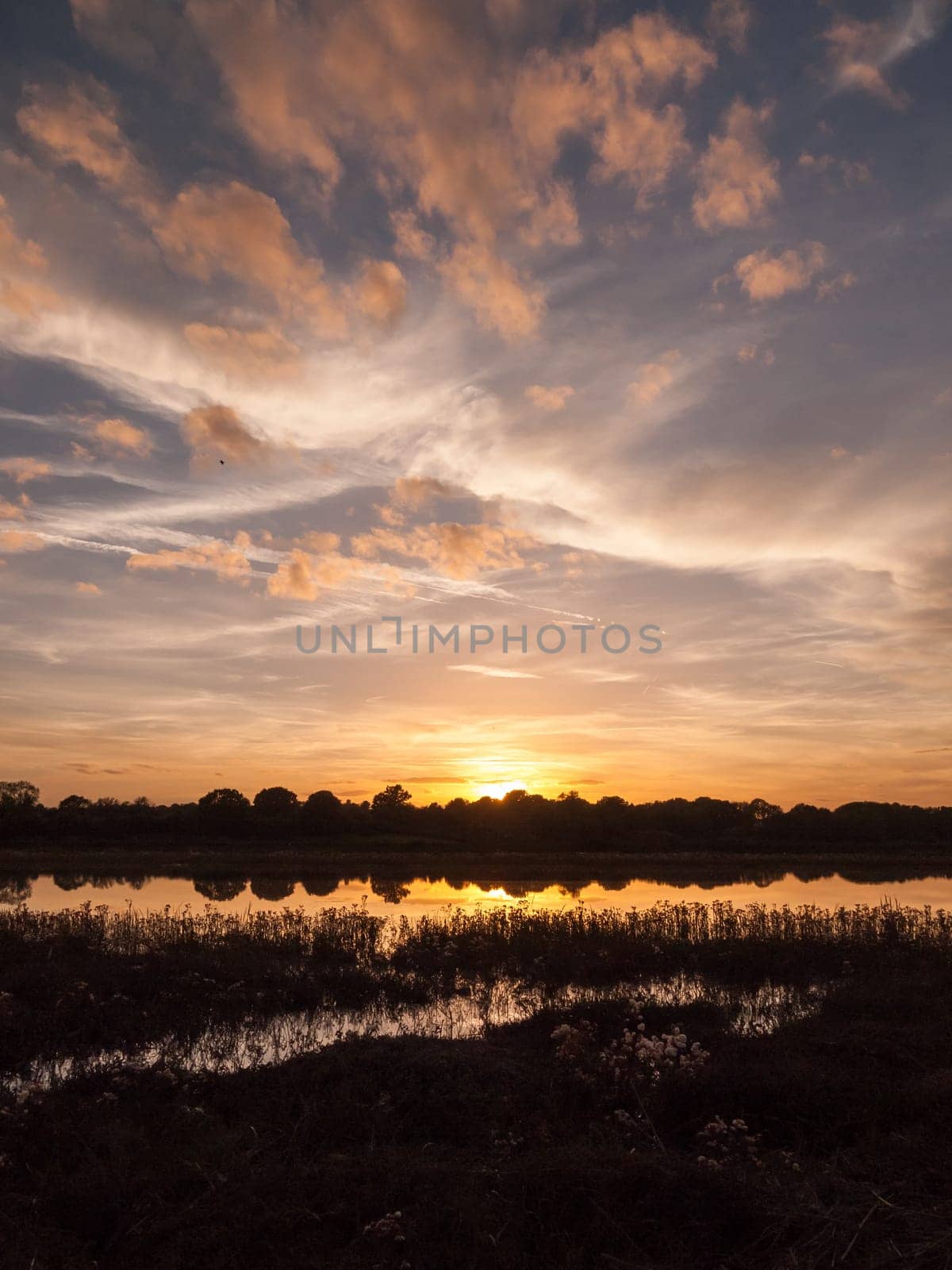 stunning bright autumn harvest sun set scene over lake water reflection reed silhouette  Essex  England  UK