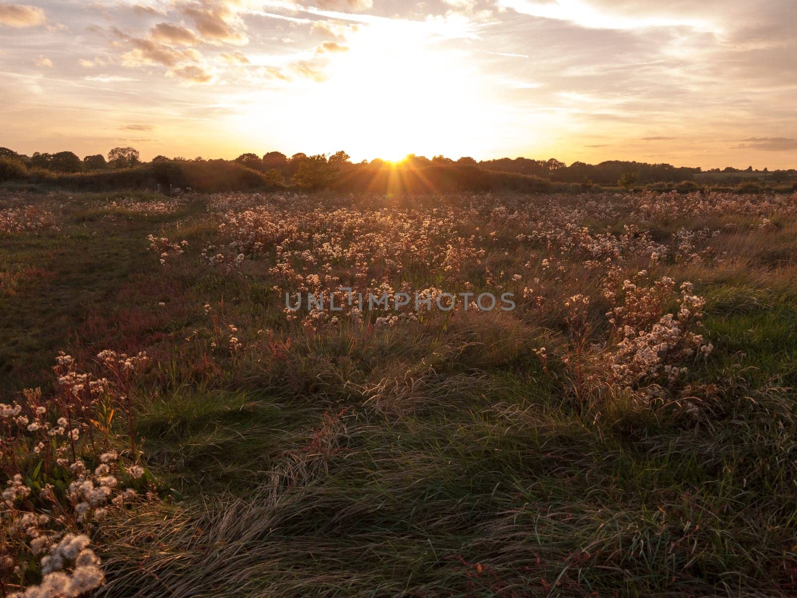 beautiful sun set sky sun over hazy grass brown field in front  Essex  England  UK