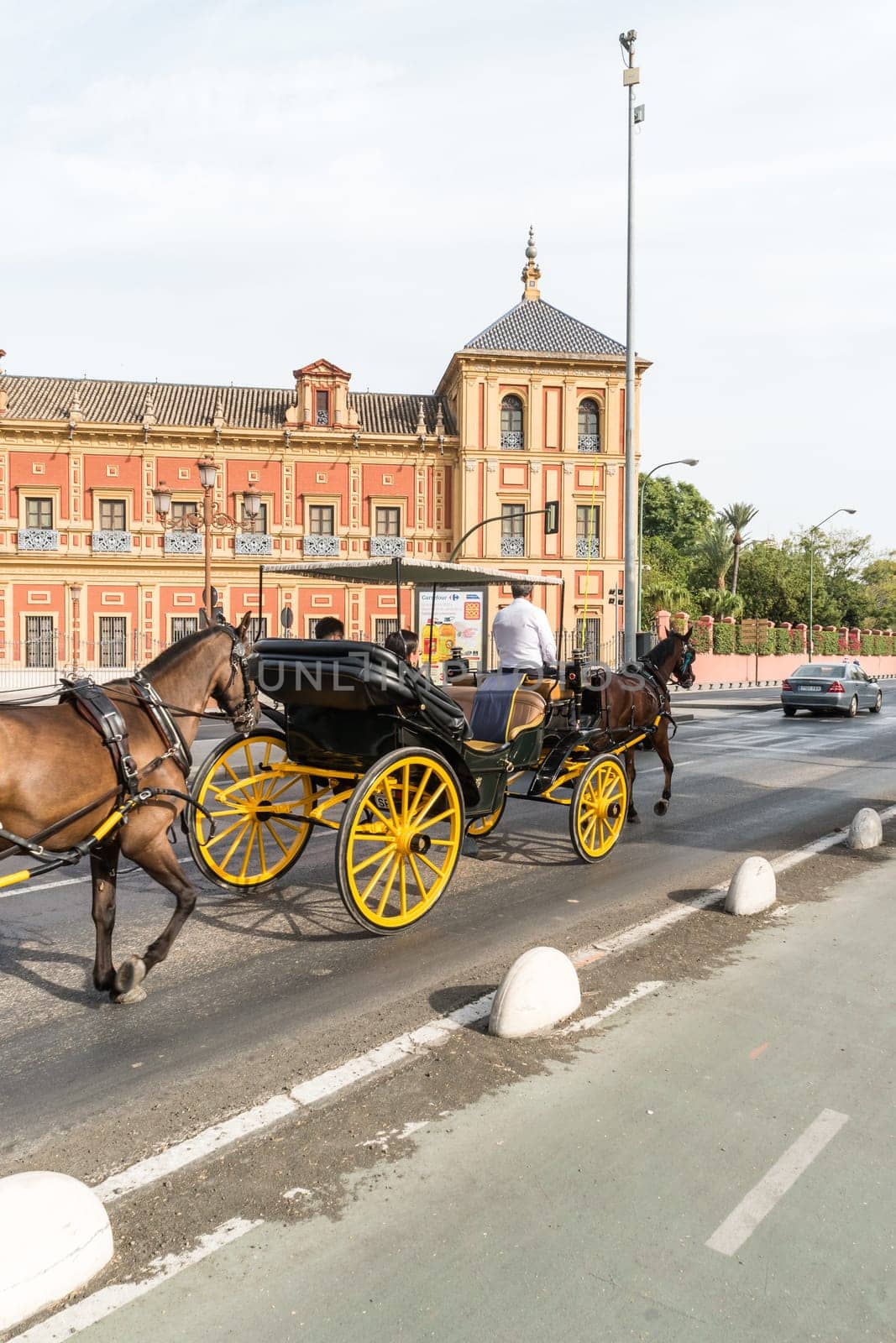 SEVILLE, SPAIN - CIRCA OCTOBER 2017: Typical Andalusian horses with carriages.