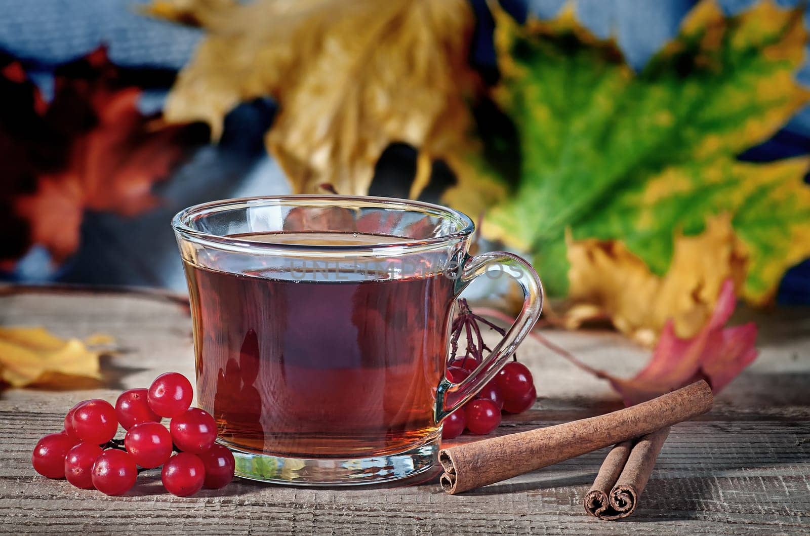 Cup of black tea, wool scarf, viburnum berries and spices on a rustick wooden table. Black tea in a transparent cup and maple leaves.