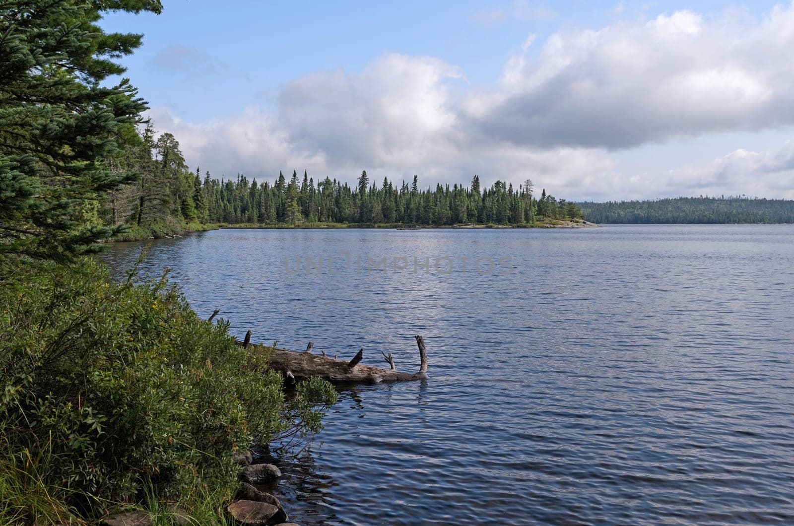 North Woods Lake on a Quiet Summer Day in the Boundary Waters in Minnesota