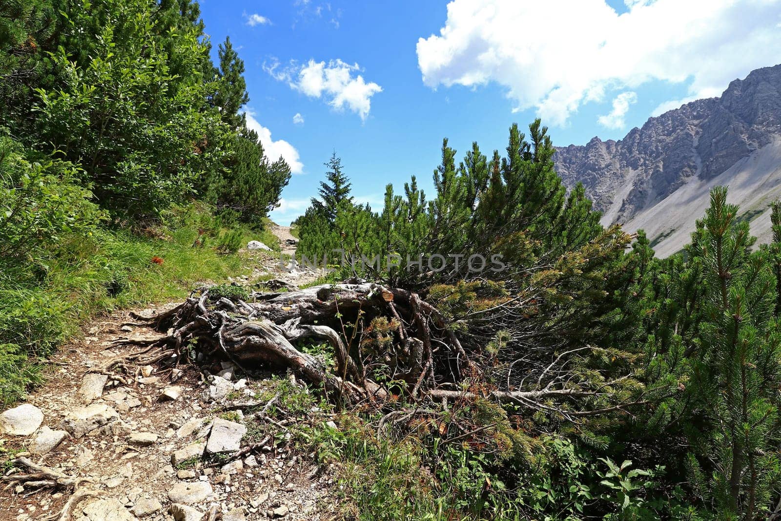 Mountaineering on the Hahntennjoch in Austria. Mountain trail in the mountains