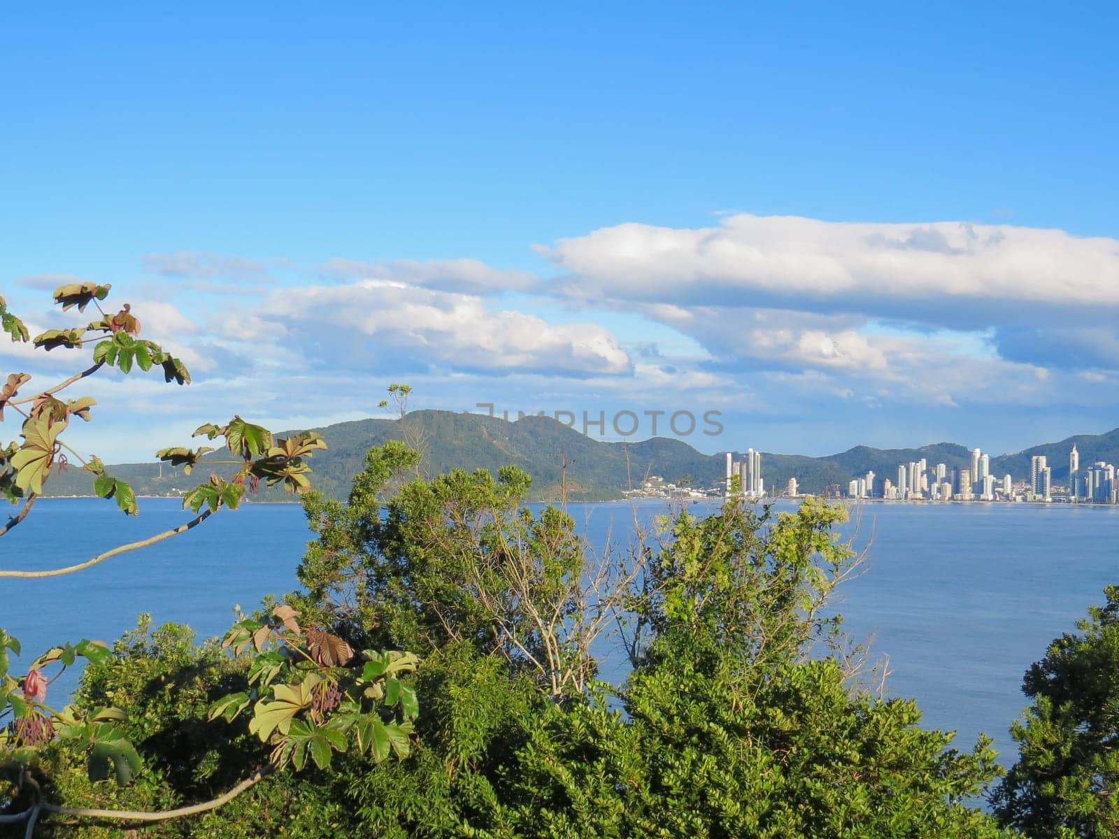 Coastal city landscape with forest in the foreground, late afternoon in blue sea