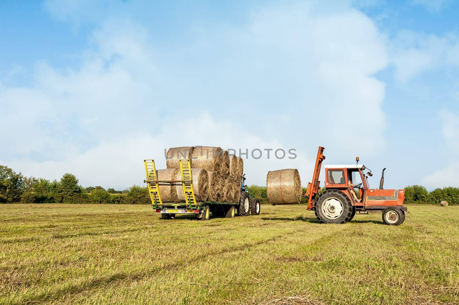Agricultural scene. Tractor collecting hay bales in field and loading on farm wagon.