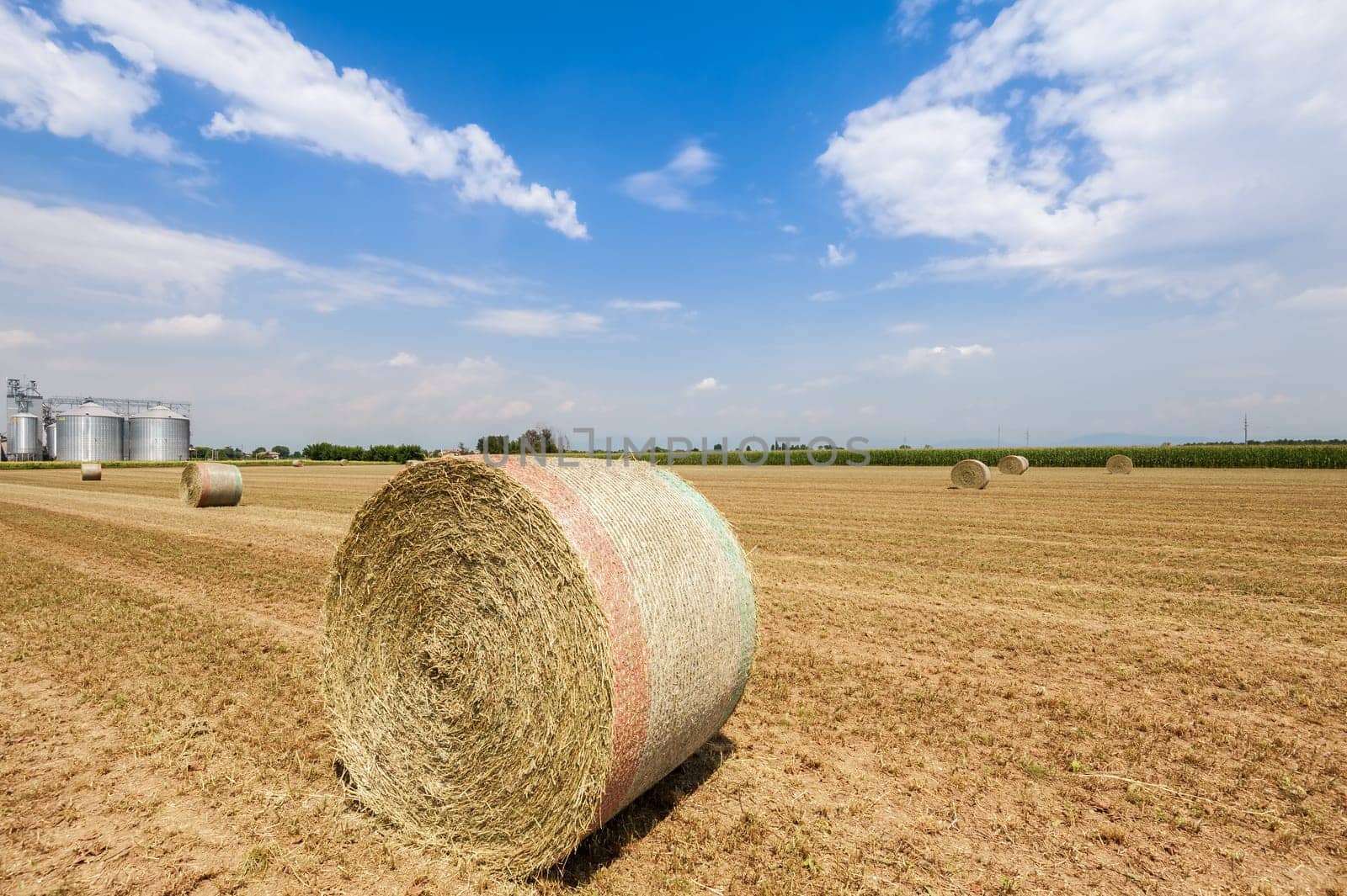 Hay bales dry in the field. On the background agricultural silos for cereals. Blue sky with clouds. Agricultural landscape.