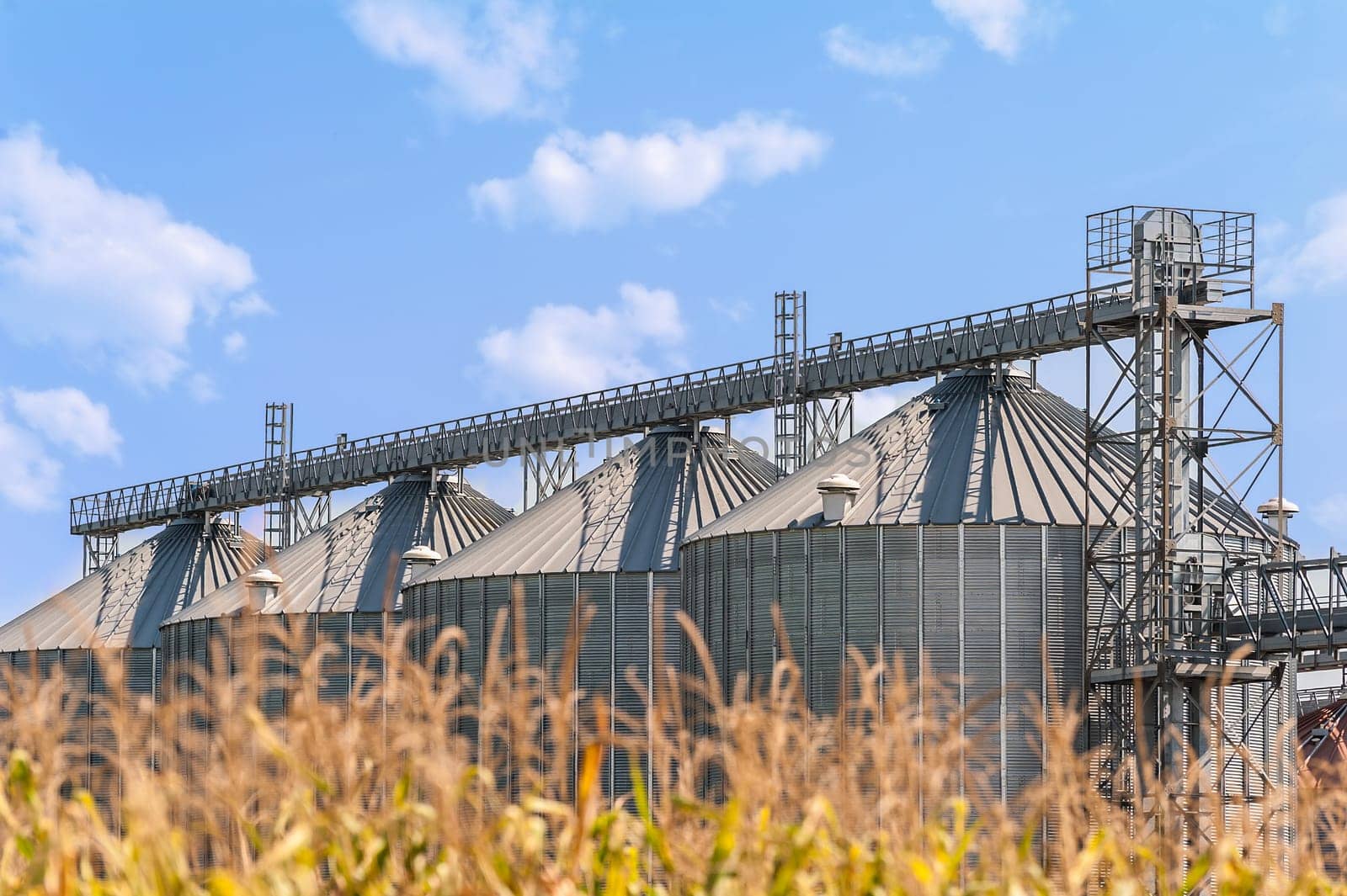 Agricultural storage tanks. Silos for storing cereals. Countryside scene.