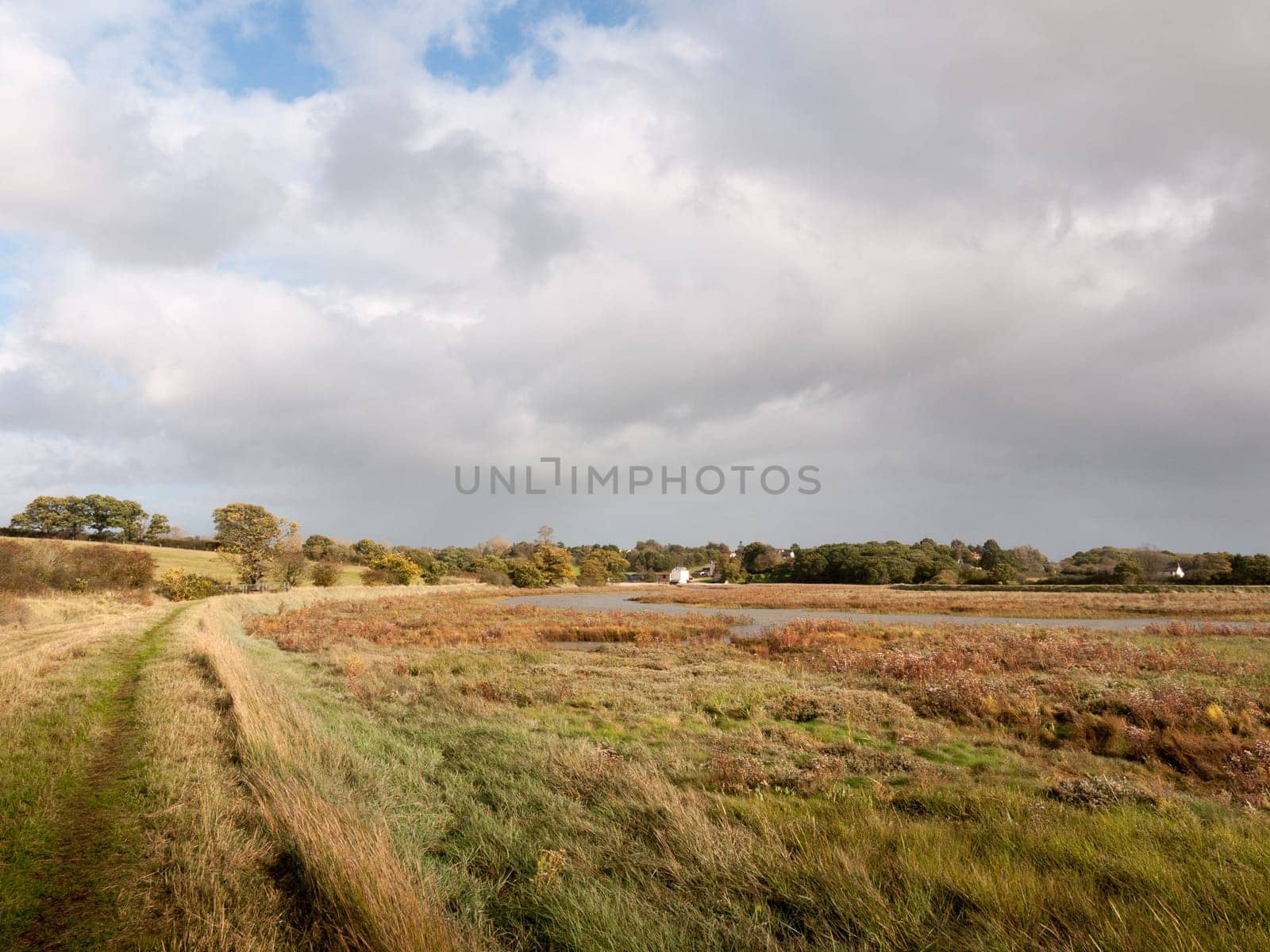 beautiful empty walkway through coastal scene grass   essex  england  uk