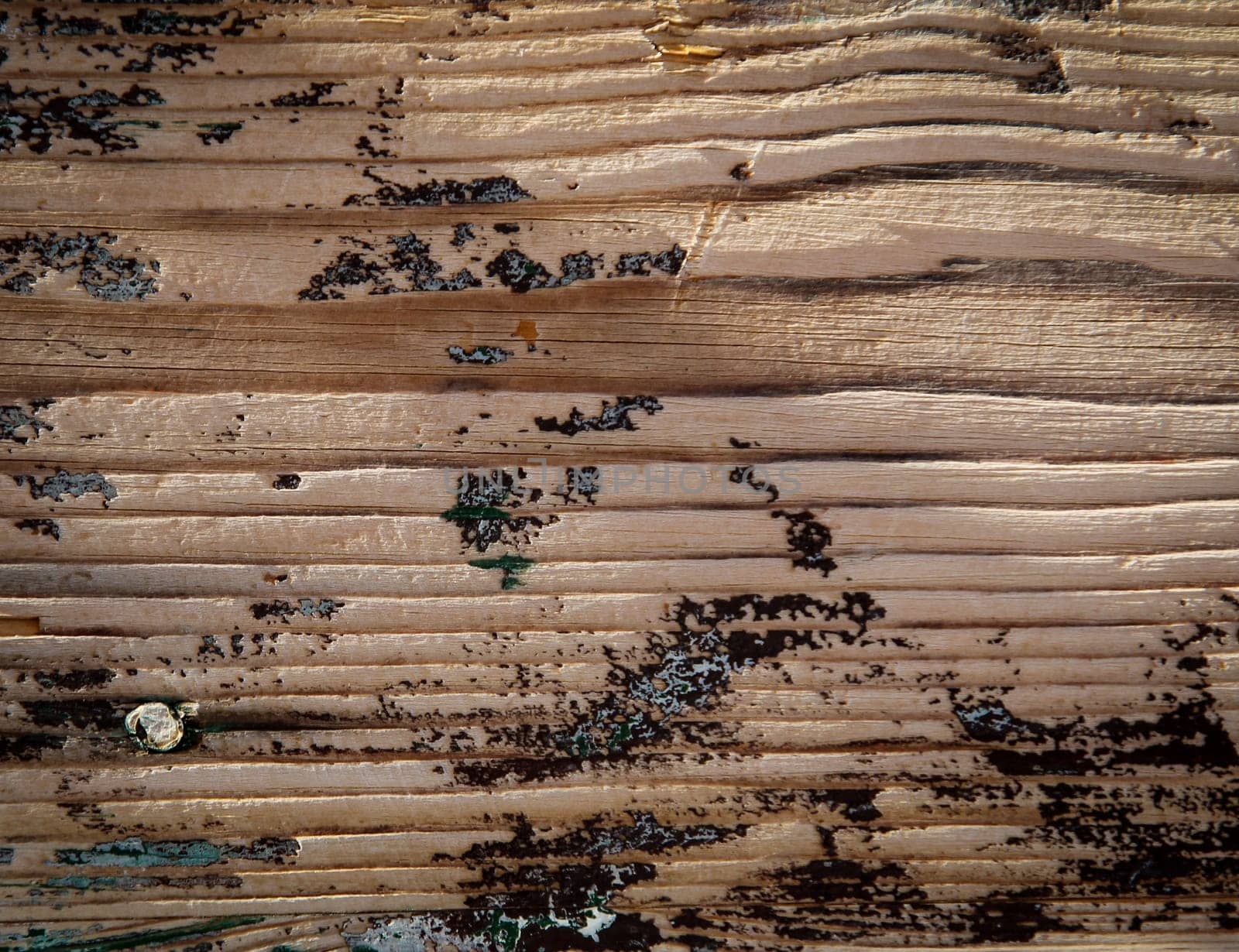 Wood texture