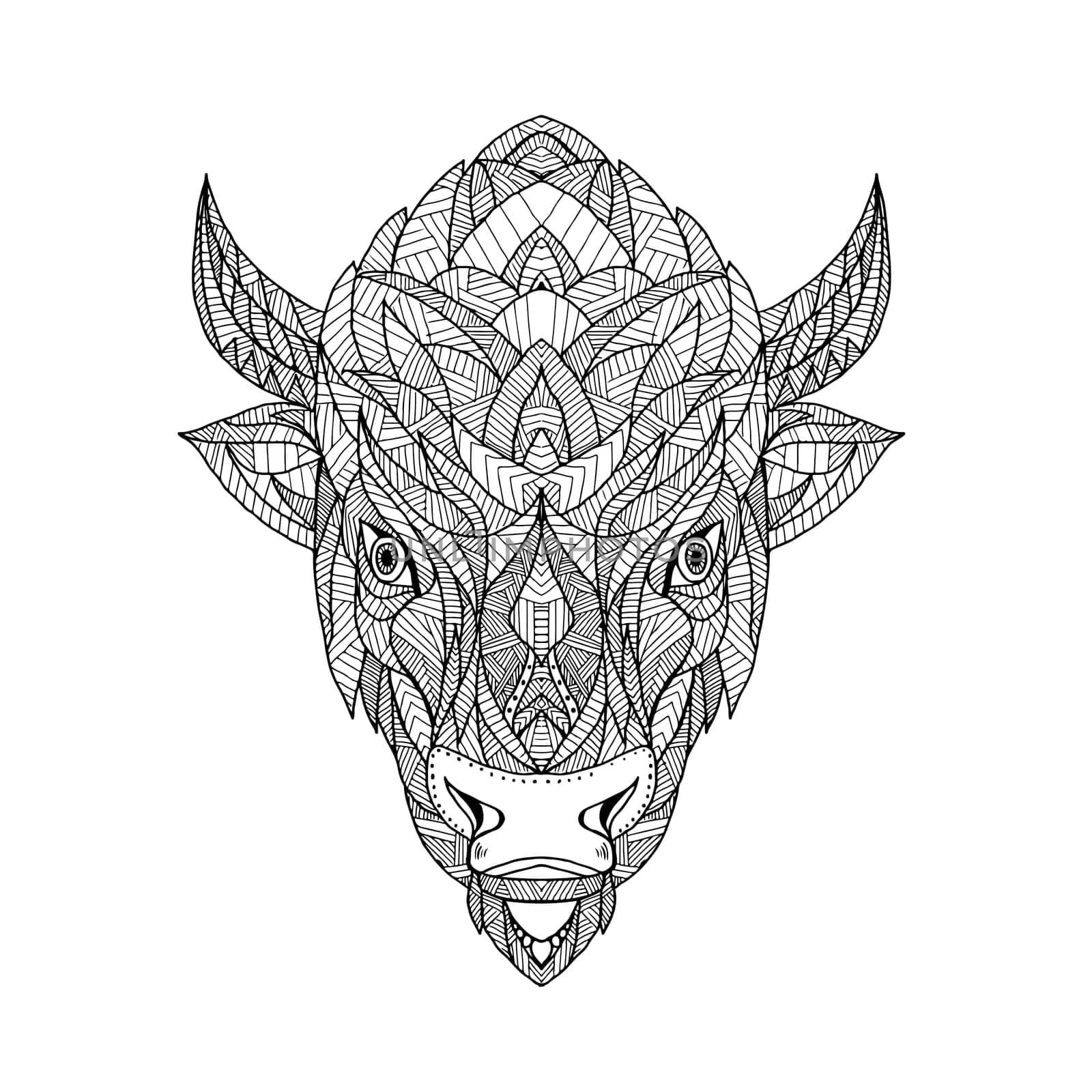 Zentagle inspired and tangled mandala illustration of a head of an American bison, American buffalo or buffalo viewed from front on isolated backgound.