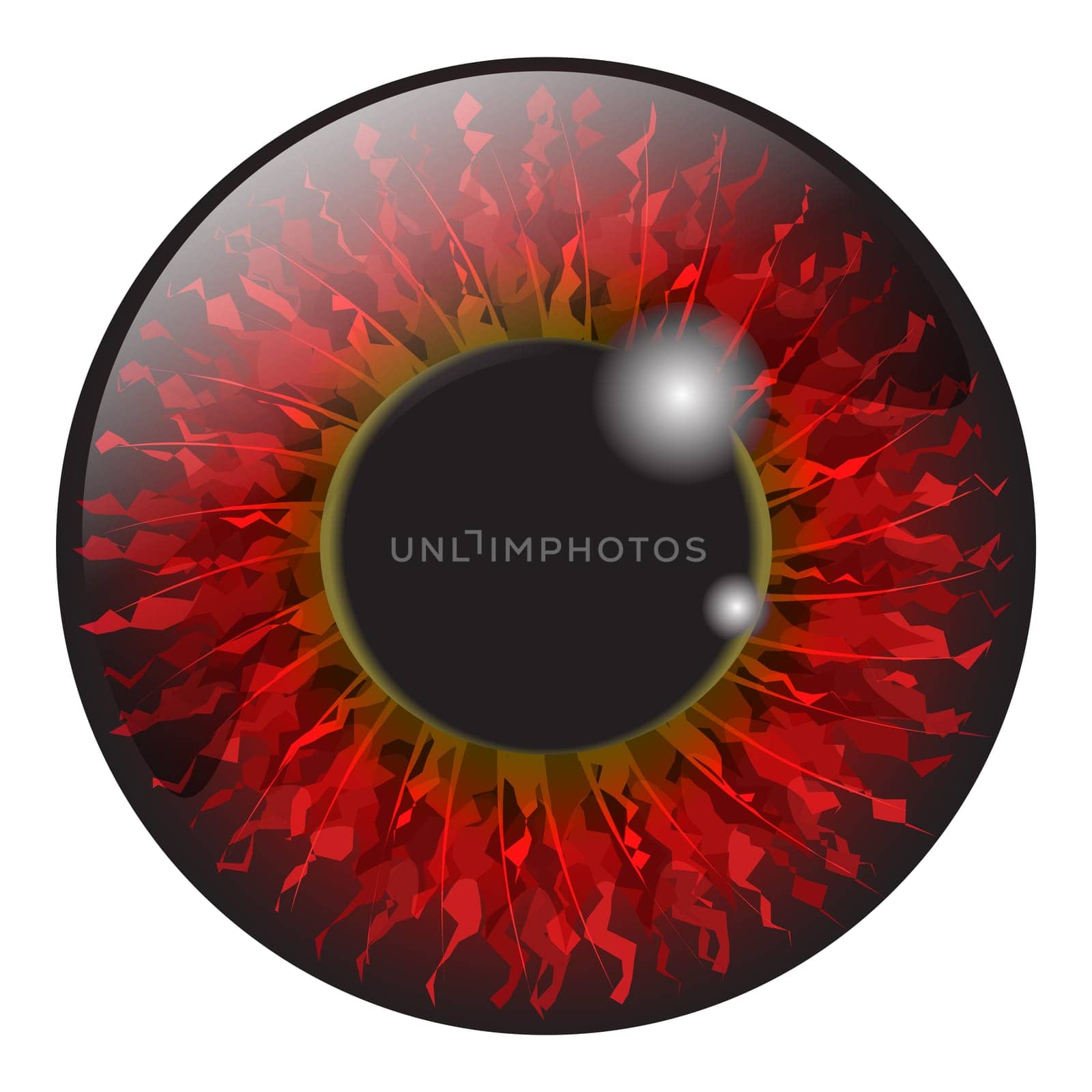 red  iris eye realistic  vector set design isolated on white background
