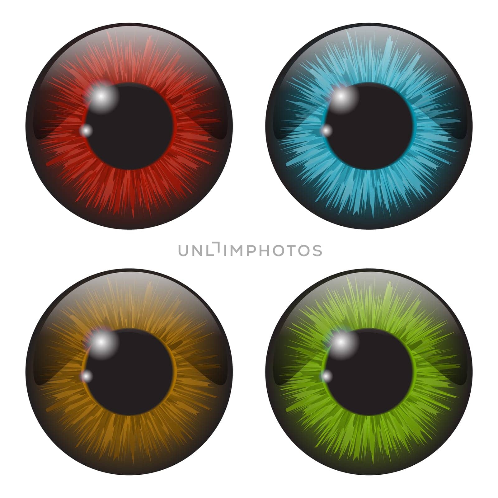 iris eye realistic  vector set design isolated on white background