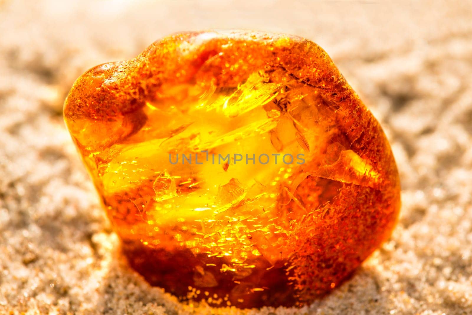 Amber on the Baltic Sea beach.