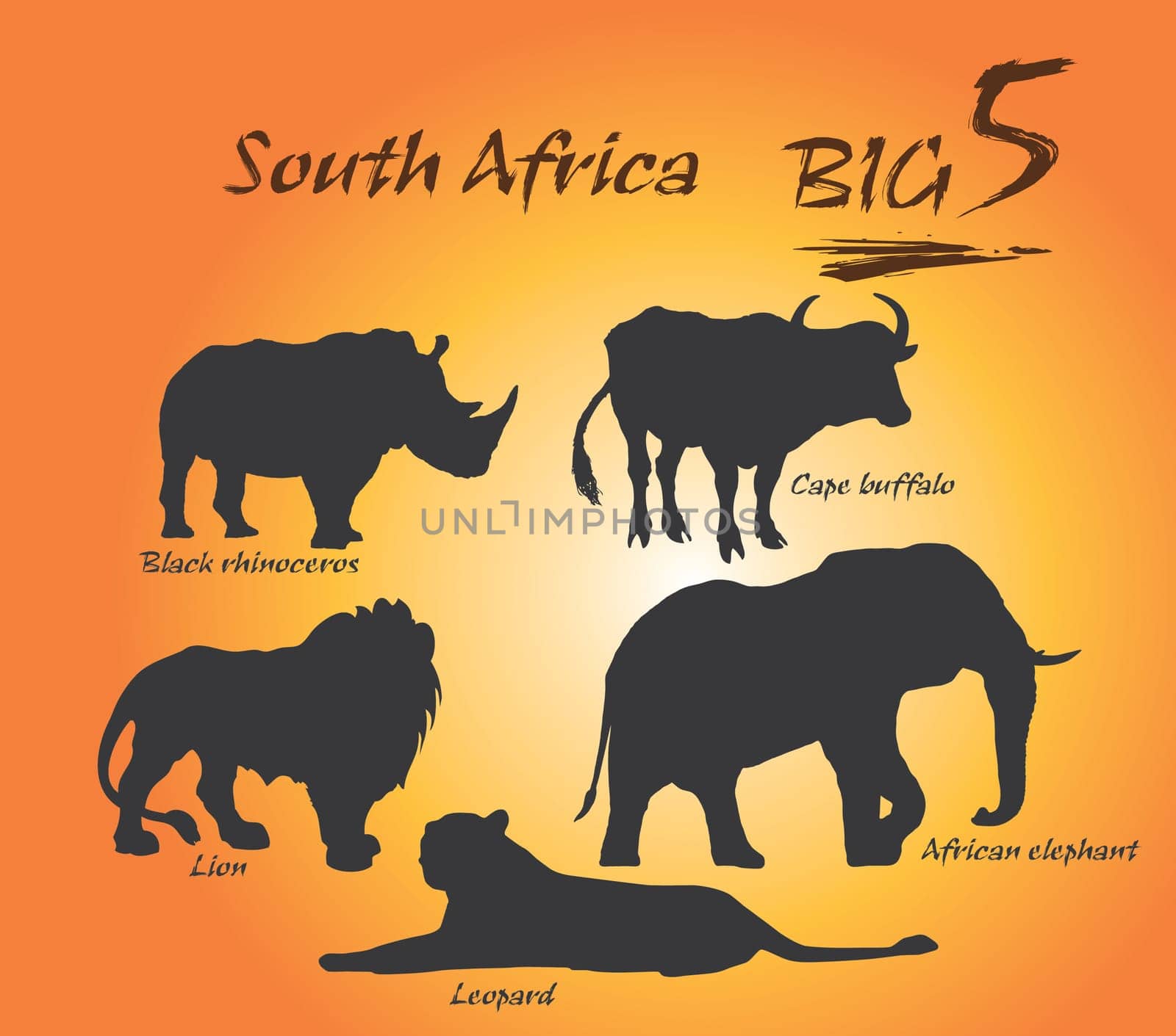 In Africa, the Big Five game animals are the African lion, African elephant, Cape buffalo, African leopard, and rhinoceros. Graphic vector black design.