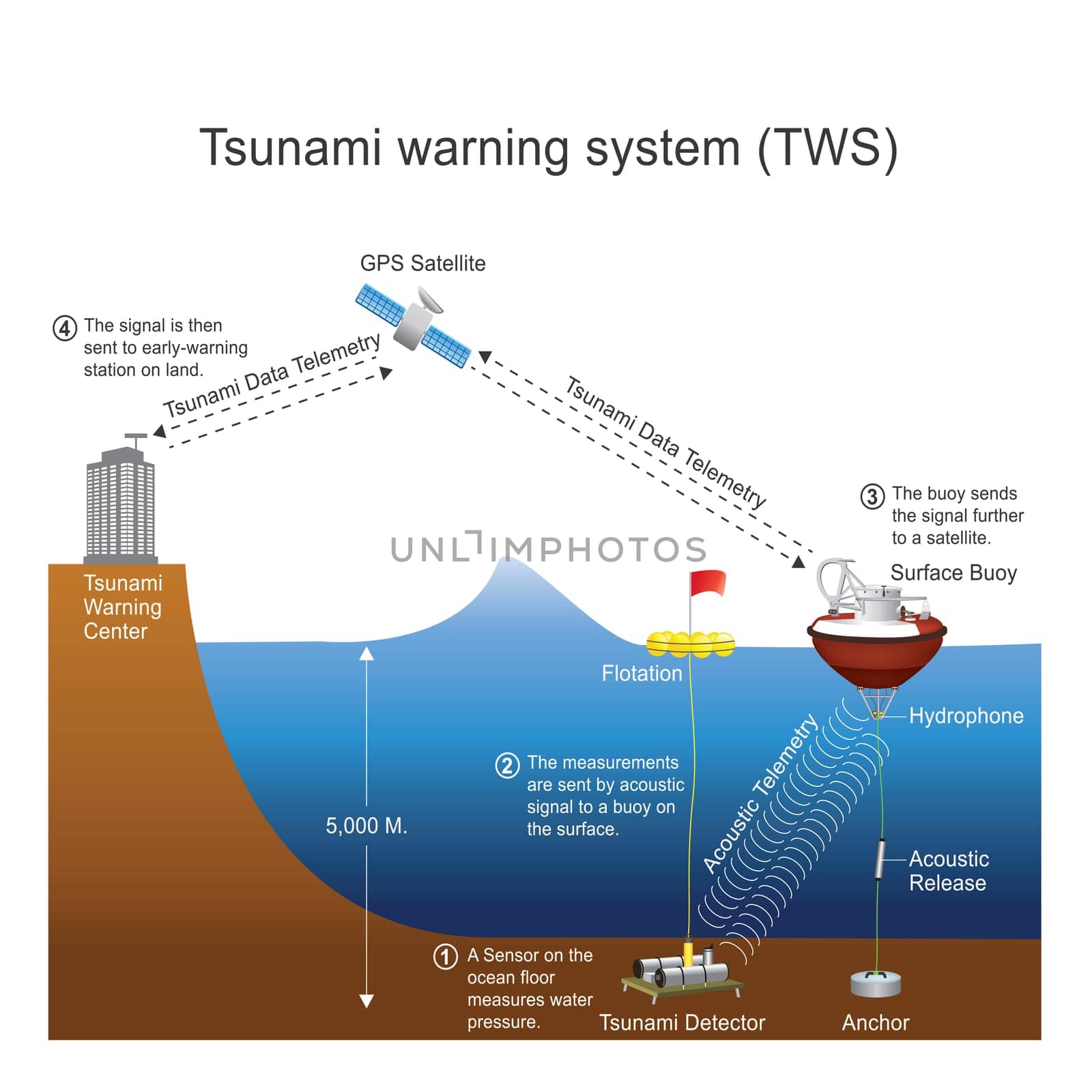 A tsunami warning system (TWS) is used to detect tsunamis in advance and issue warnings to prevent loss of life and damage. It is made up of two equally important components: a network of sensors to detect tsunamis and a communications infrastructure to issue timely alarms to permit evacuation of the coastal areas..