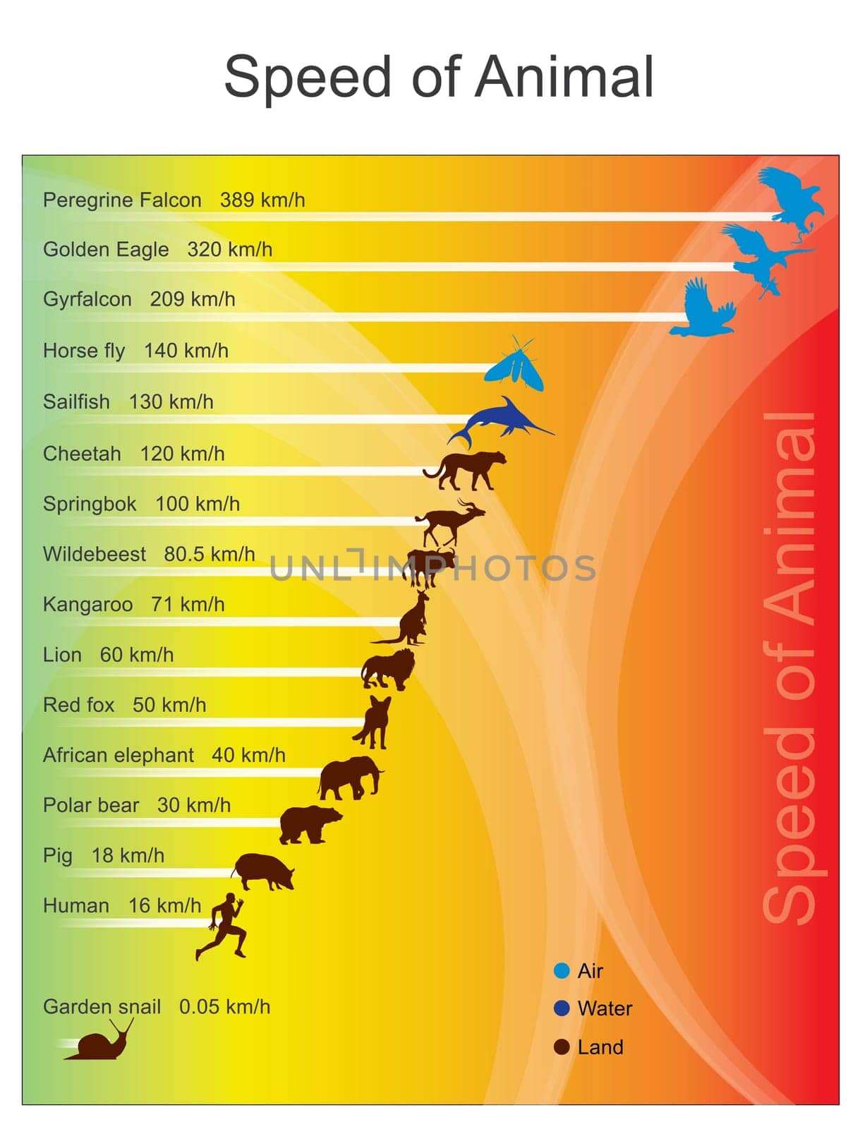 The fastest animal chart. Vector graphic design.