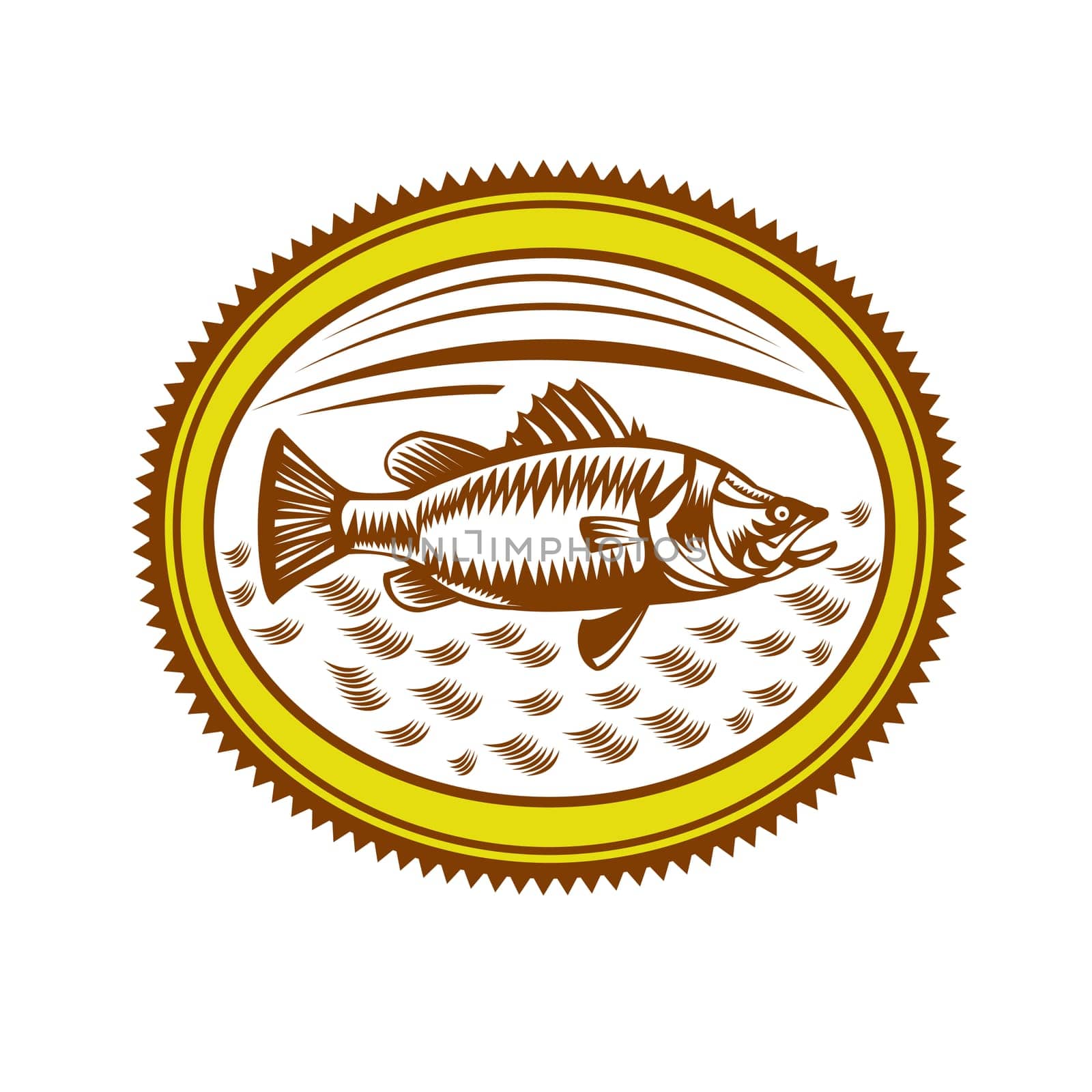 Retro style illustration of Saltwater Barramundi or barramundi, Asian sea bass (Lates calcarifer), a species of catadromous fish set inside Rosette on isolated background.