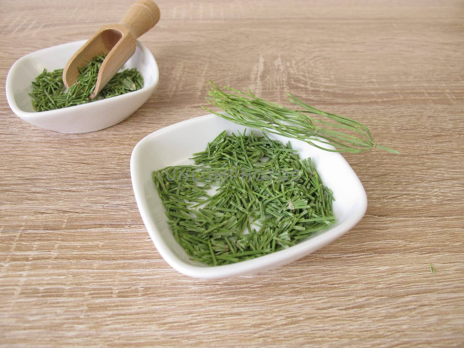 Dried field horsetail