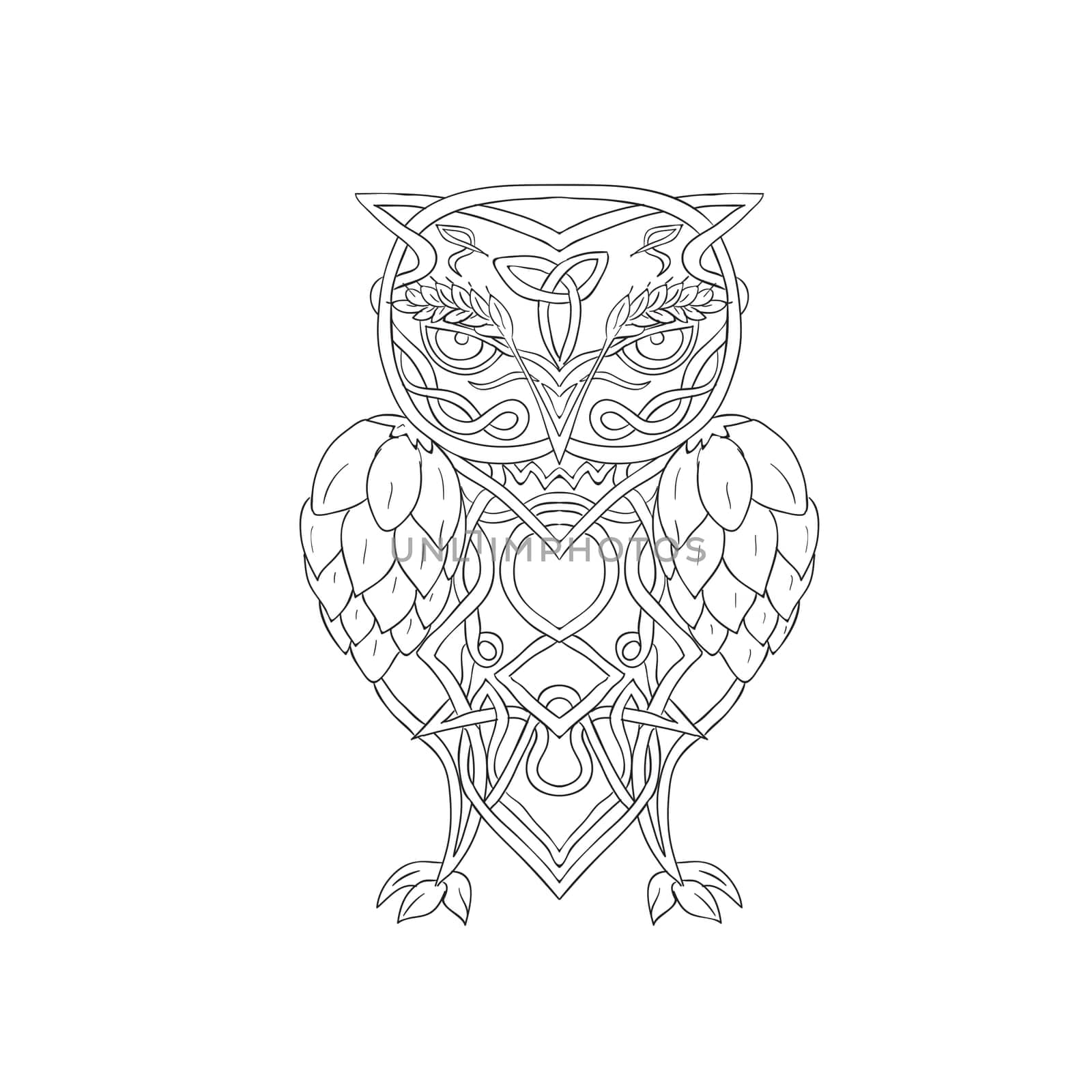 Celtic Knotwork illustration of a stylized owl with barley above eye and hops for wings viewed from front on isolated background.