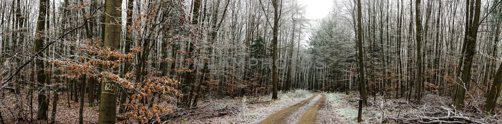 Beautiful panoramic picture of a landscape shot in winter in Central Hesse,Germany