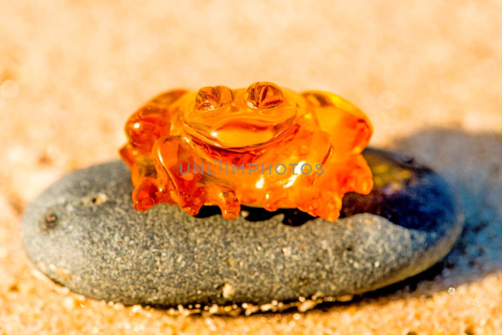 Amber,frog on the Baltic Sea beach
