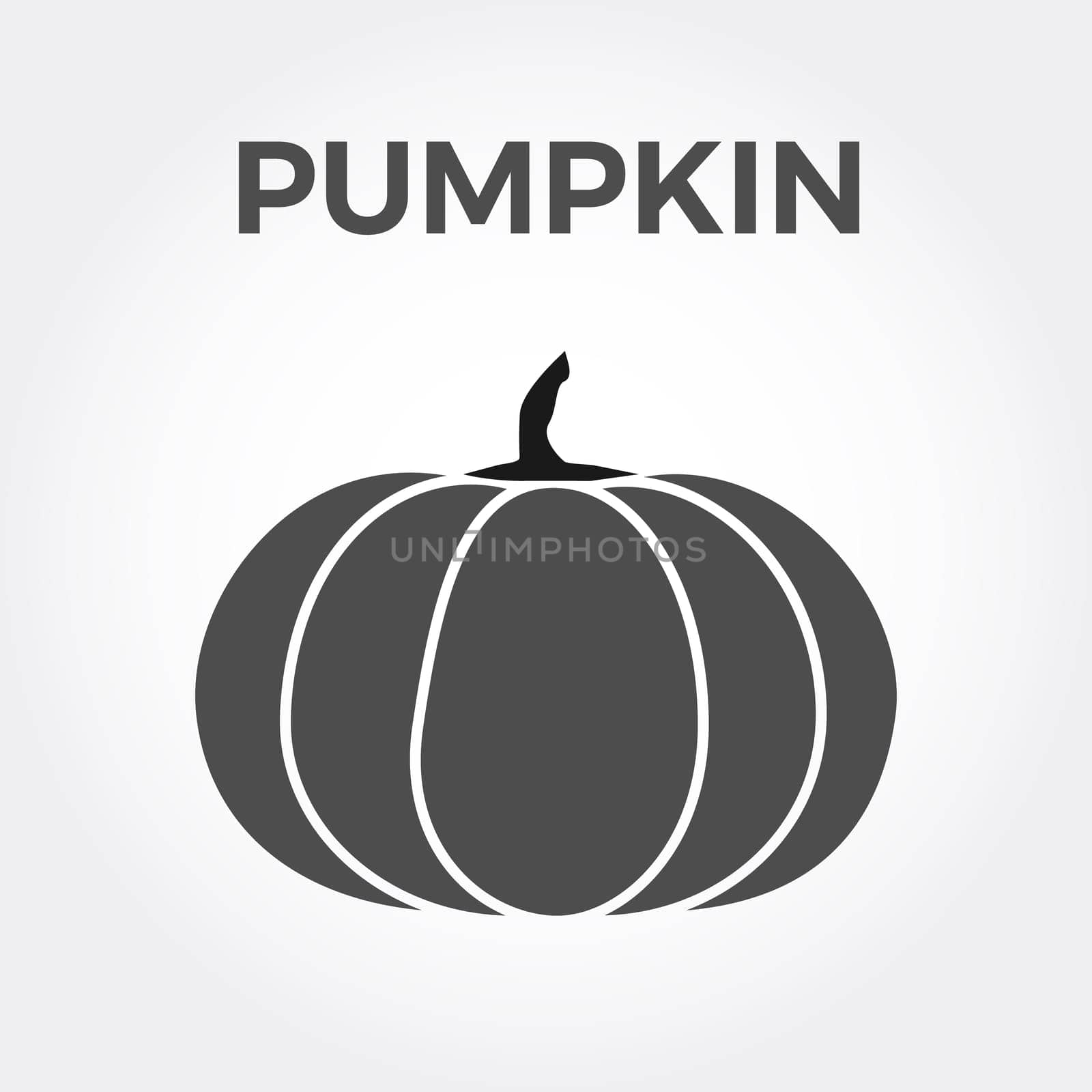Halloween isolated pumpkin in vector. Autumn dall thanksgiving food for vegetarian. Natural seasonal plant from farm or garden. White light and black gray dark.