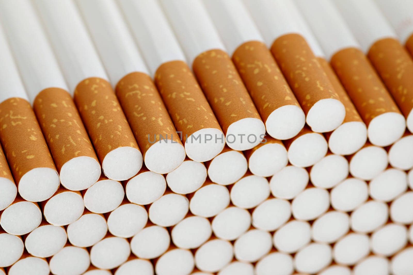 Detail of the heap of filter cigarettes