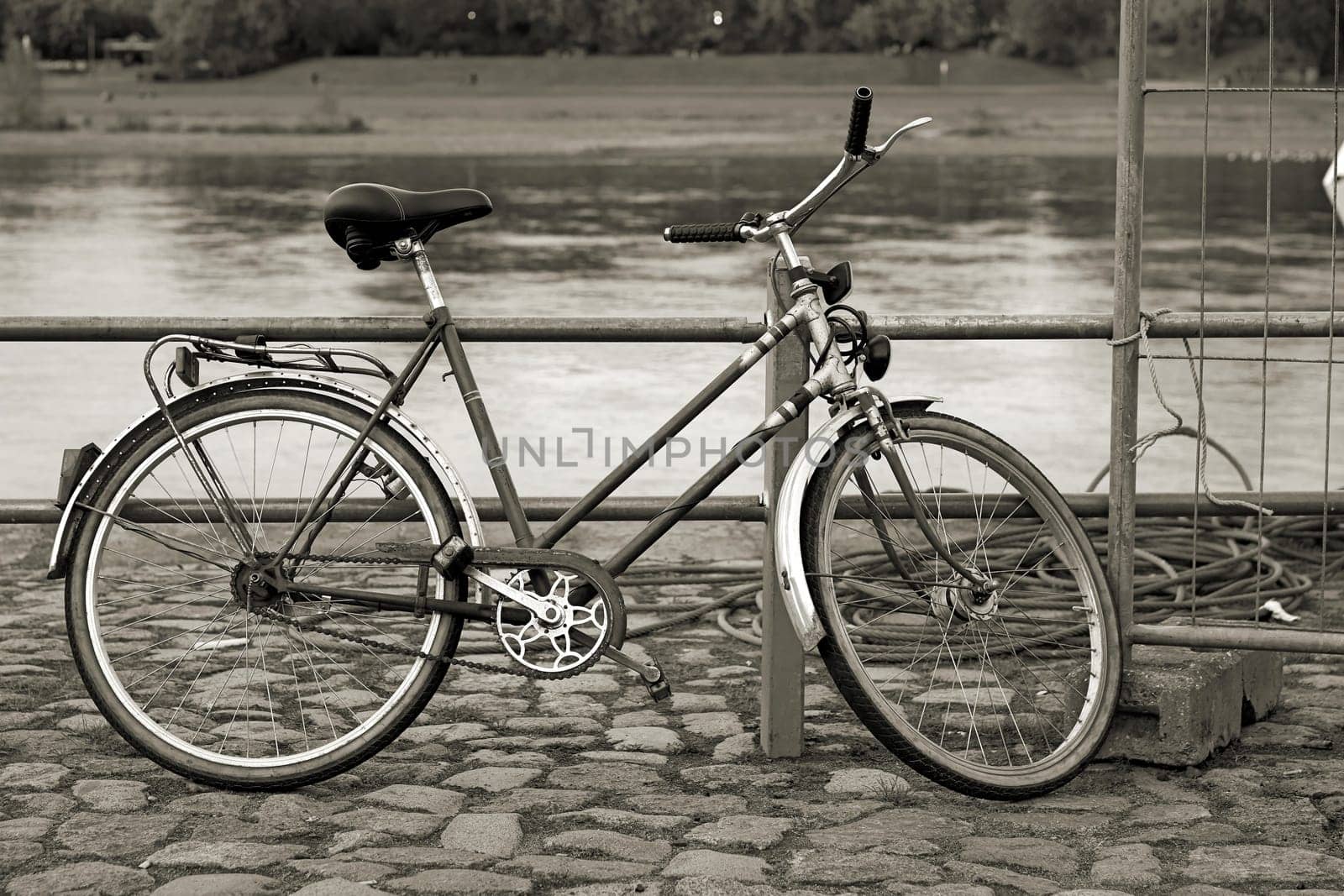 Bicycle on the banks of the Elbe in Dresden