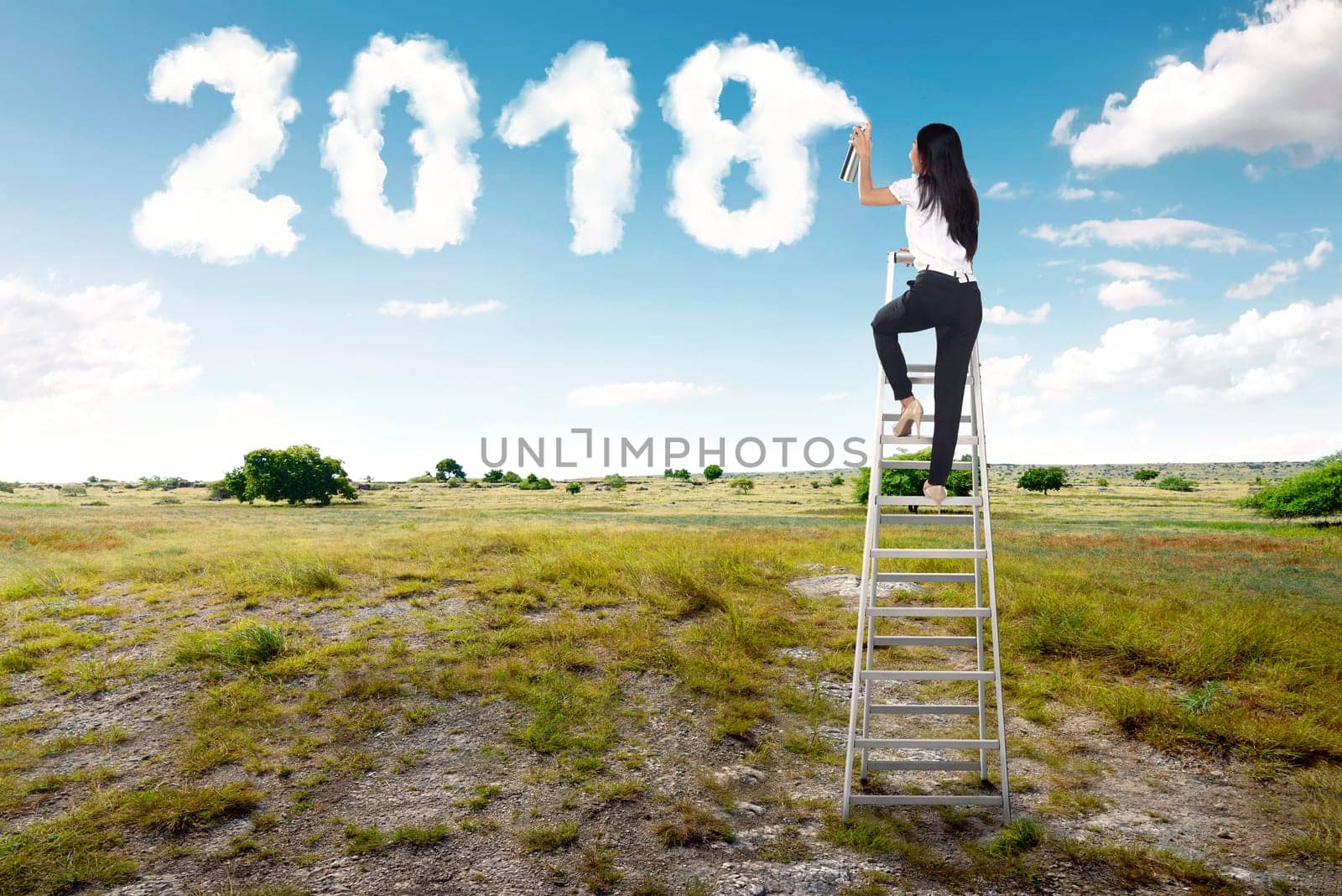 Businesswoman using stairs and spraying white cloud with 2018 shape on green field