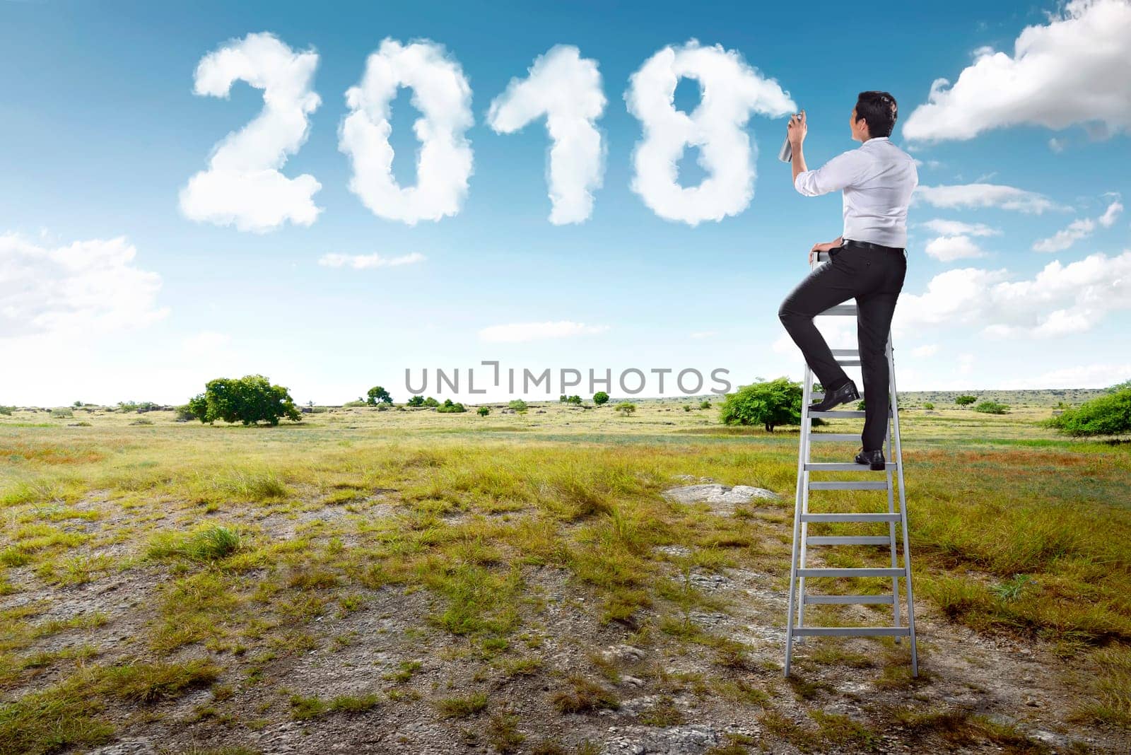 Businessman using stairs and spraying white cloud with 2018 shape on green field