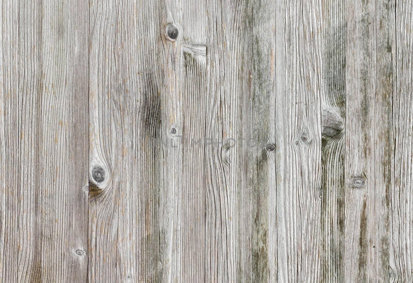 Close-up bright wood texture. High resolution picture of blank space for many uses.