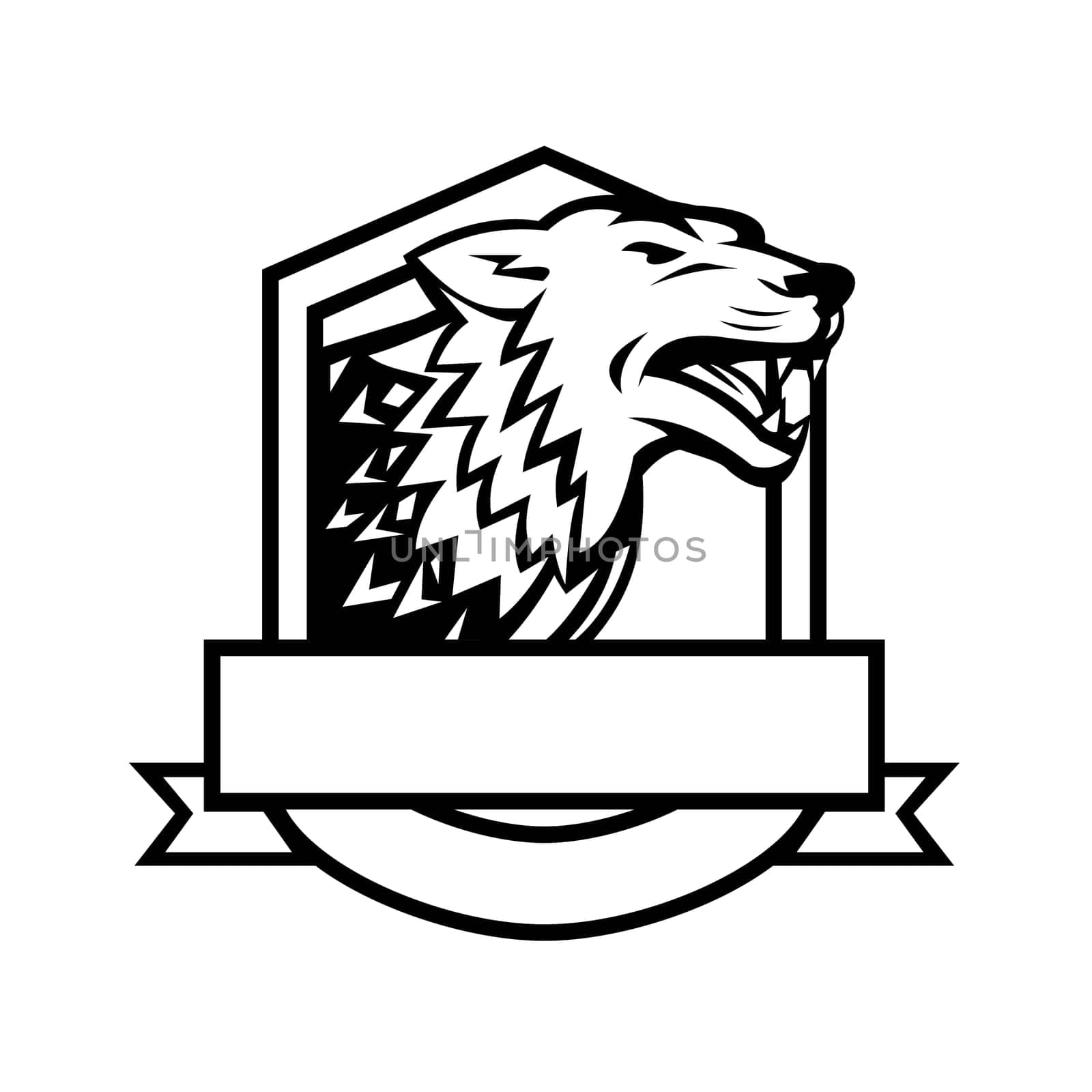 Retro style illustration of an angry wolf growling set inside crest shield with banner done in black and white on isolated background.