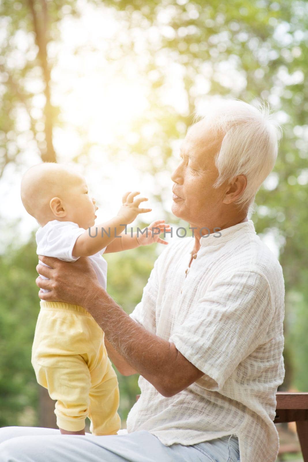 Grandfather holding baby grandson, Asian family at outdoor park.