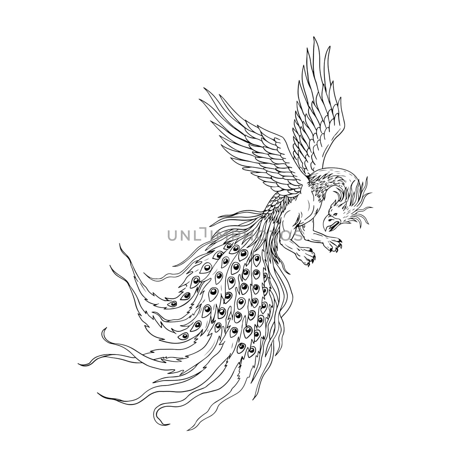 Drawing sketch style illustration of a Simorg,Simurgh, simorg, simurg, simoorg, simorq or simourv, a mythical bird in Iranian Persian mythology that has a head of a wolf, with beak of eagle, legs of lion and tail of a peacock.