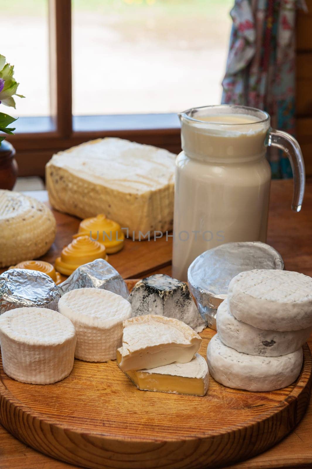 Set of different cheese: camembert, croton, mozzarella, smoked mozzarella and other