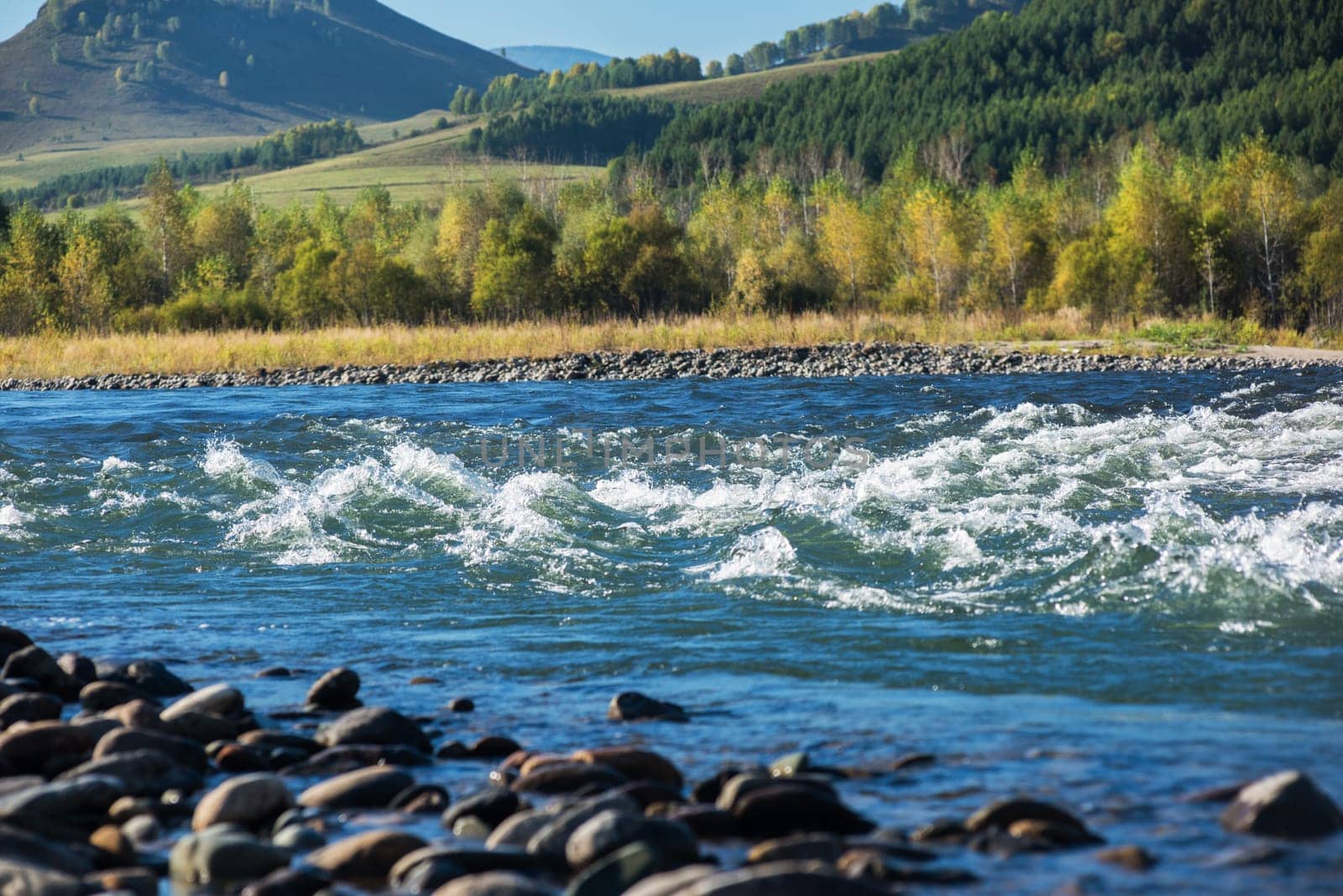 Fast mountain river Charish with the purest water in Altay mountains, Siberia, Russia