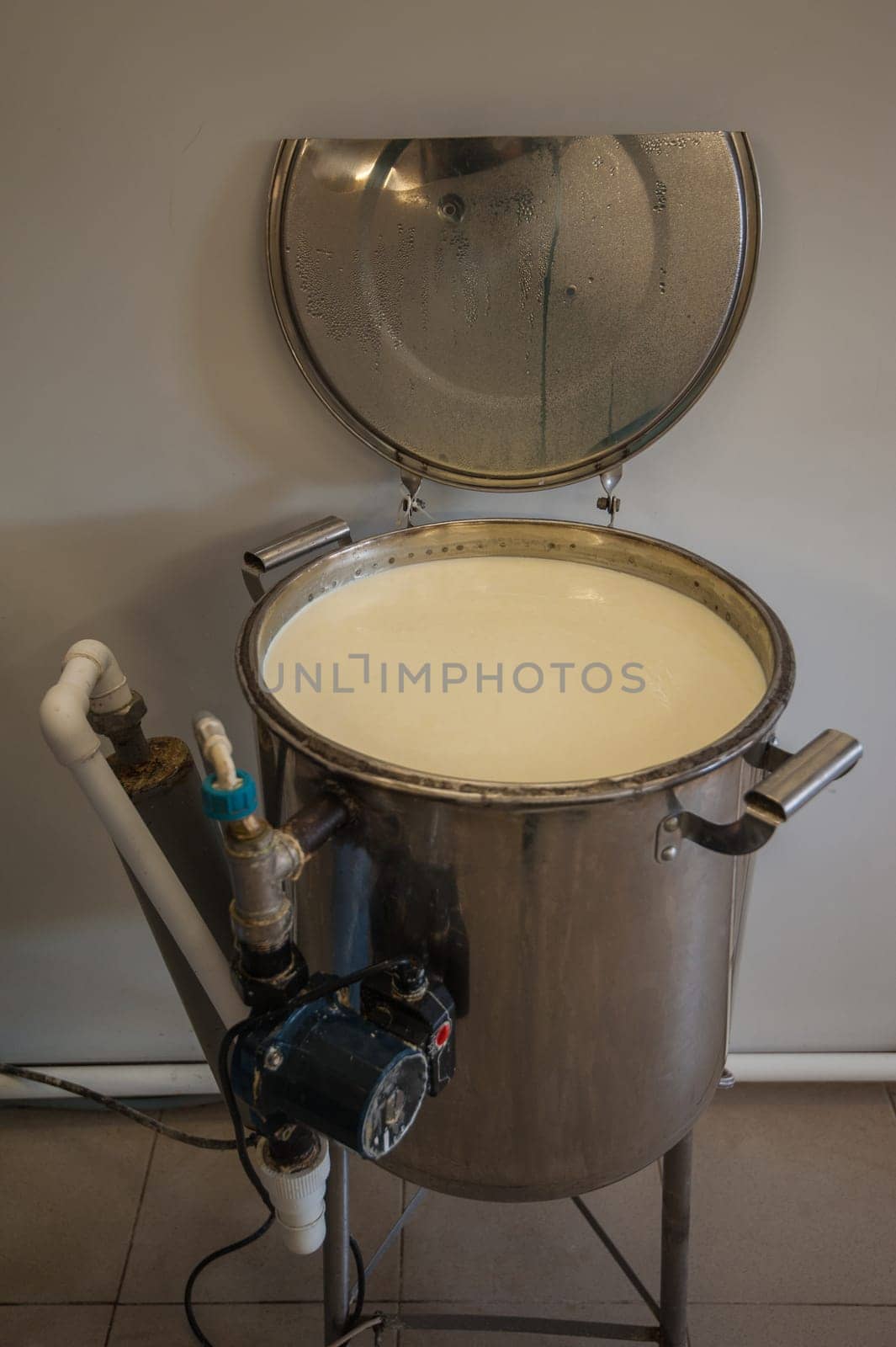 Cheese production at dairy farm, first stage - milk processing