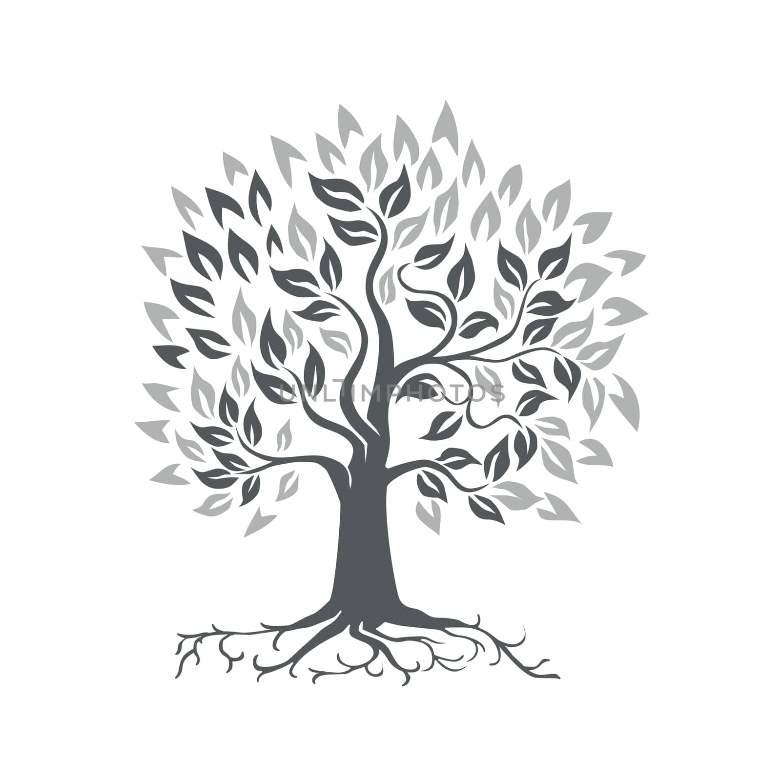 Retro style illustration of a stylized oak tree with roots on isolated background.