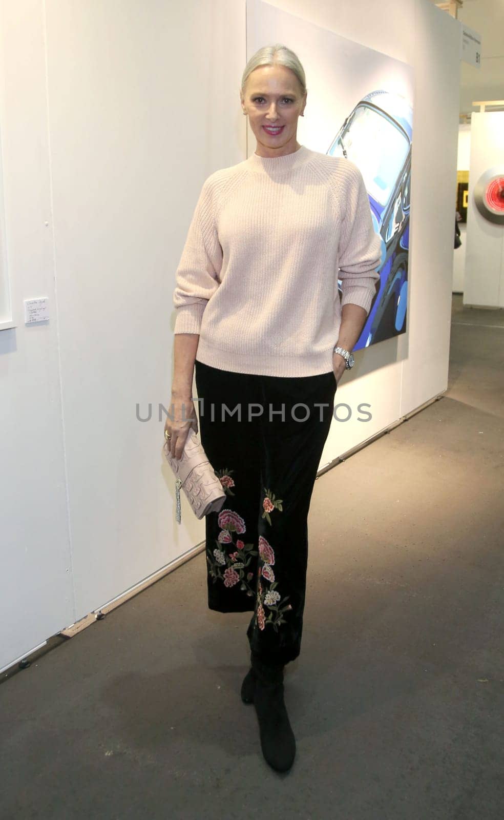 Petra van Bremen in Zara Outfit ,. Exhibition opening of the Affordable Art Fair 2017 in hall A1 in Hamburg on 15.11.2017