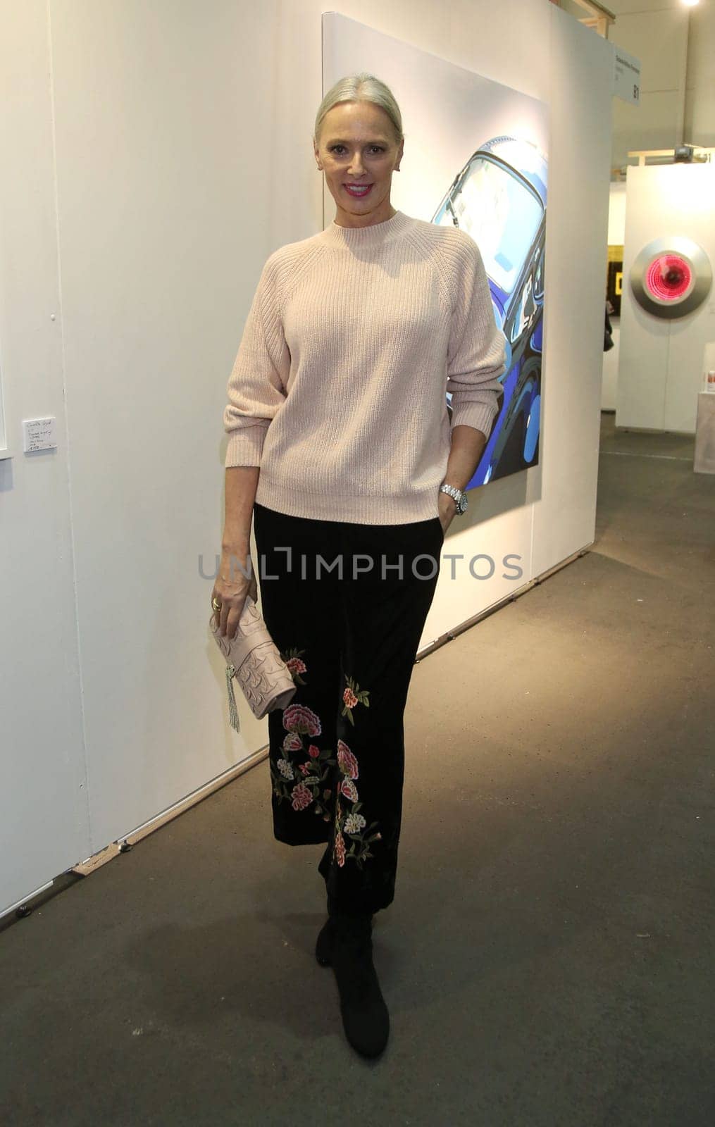 Petra van Bremen in Zara Outfit ,. Exhibition opening of the Affordable Art Fair 2017 in hall A1 in Hamburg on 15.11.2017