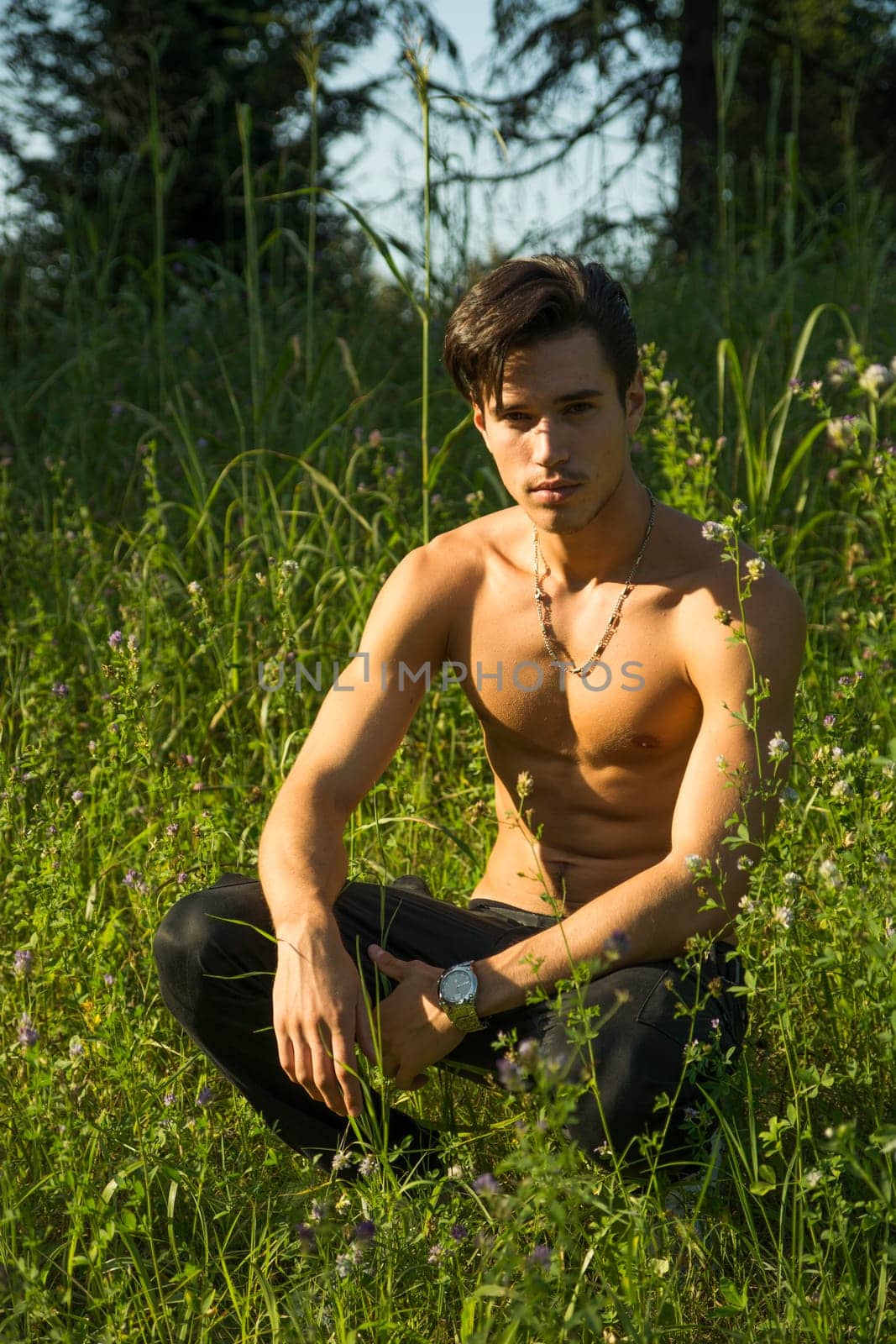 Nostalgic shirtless young man in a park as he kneels in green grass, looking at camera