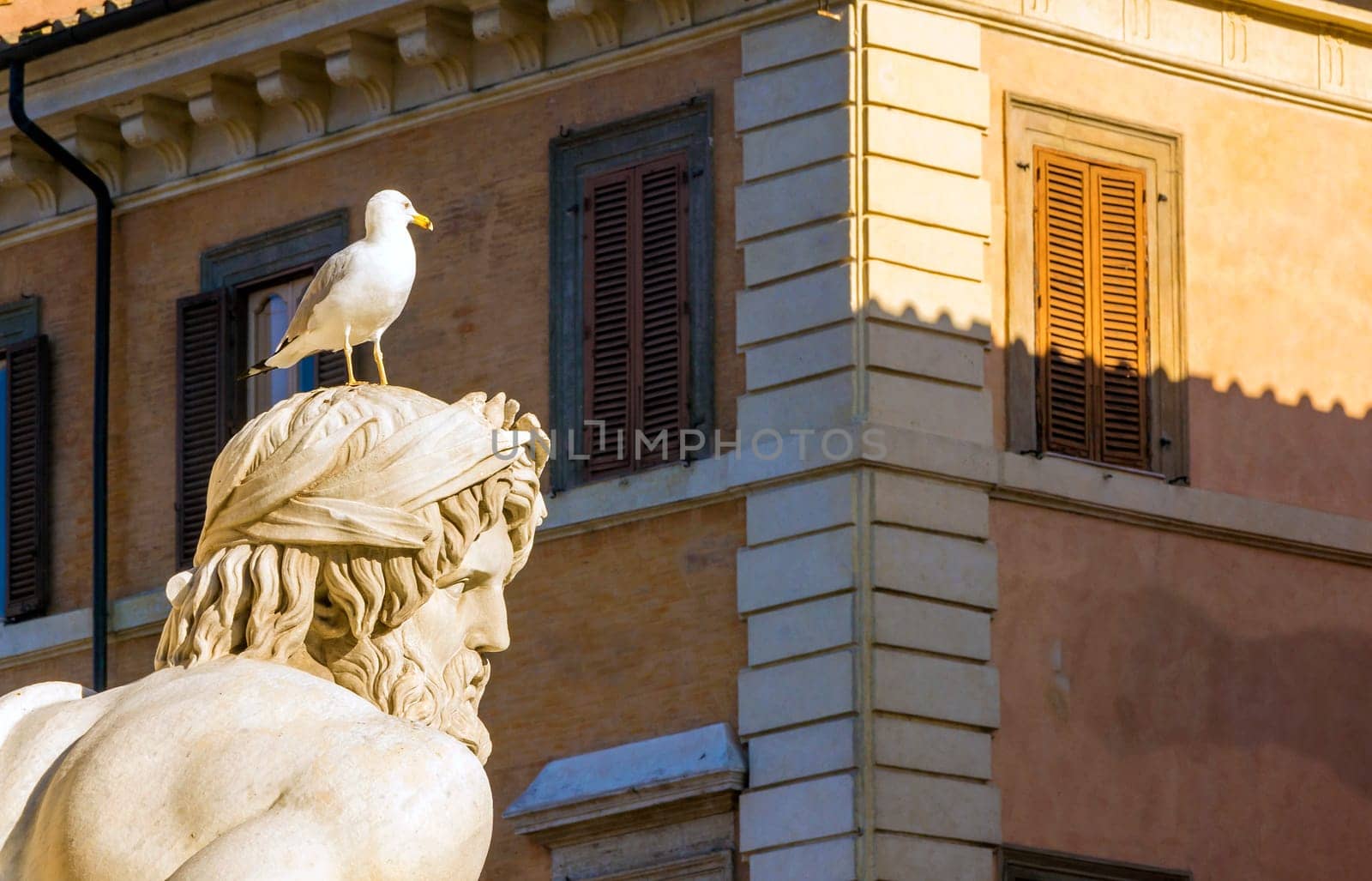 Detail of the Fountain of the four rivers in Piazza Navona, Rome. the Statue representing the river Ganges  with a seagull relaxing on its head
