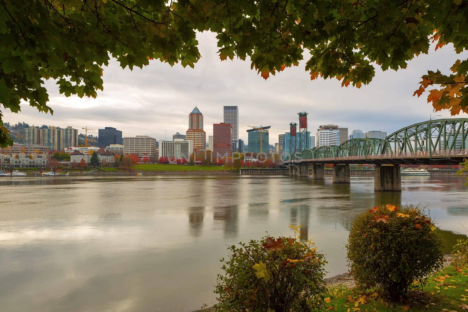 Portland Oregon downtown city skyline framed by fall season foliage along Willamette River