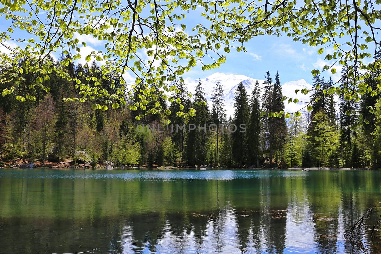 Lake Passy and Mont Blanc mountain massif summer view, Chamonix, France