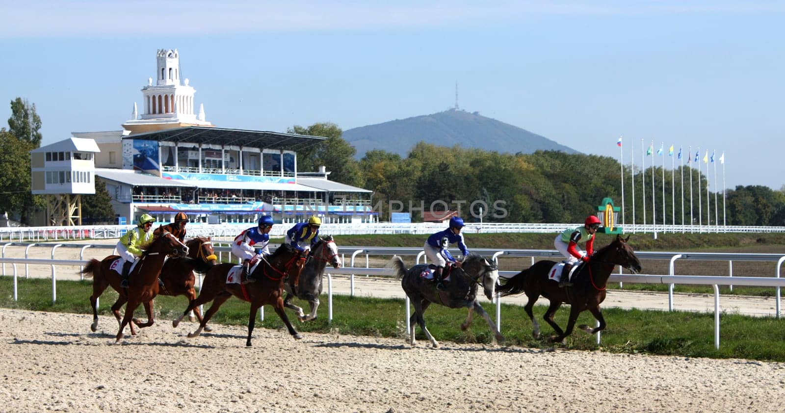 Hippodrome in city Pyatigorsk,Northern Caucasus,Russia.  5 October 2008 year.Horse race of the prize closing the race season.Horse arab breed.