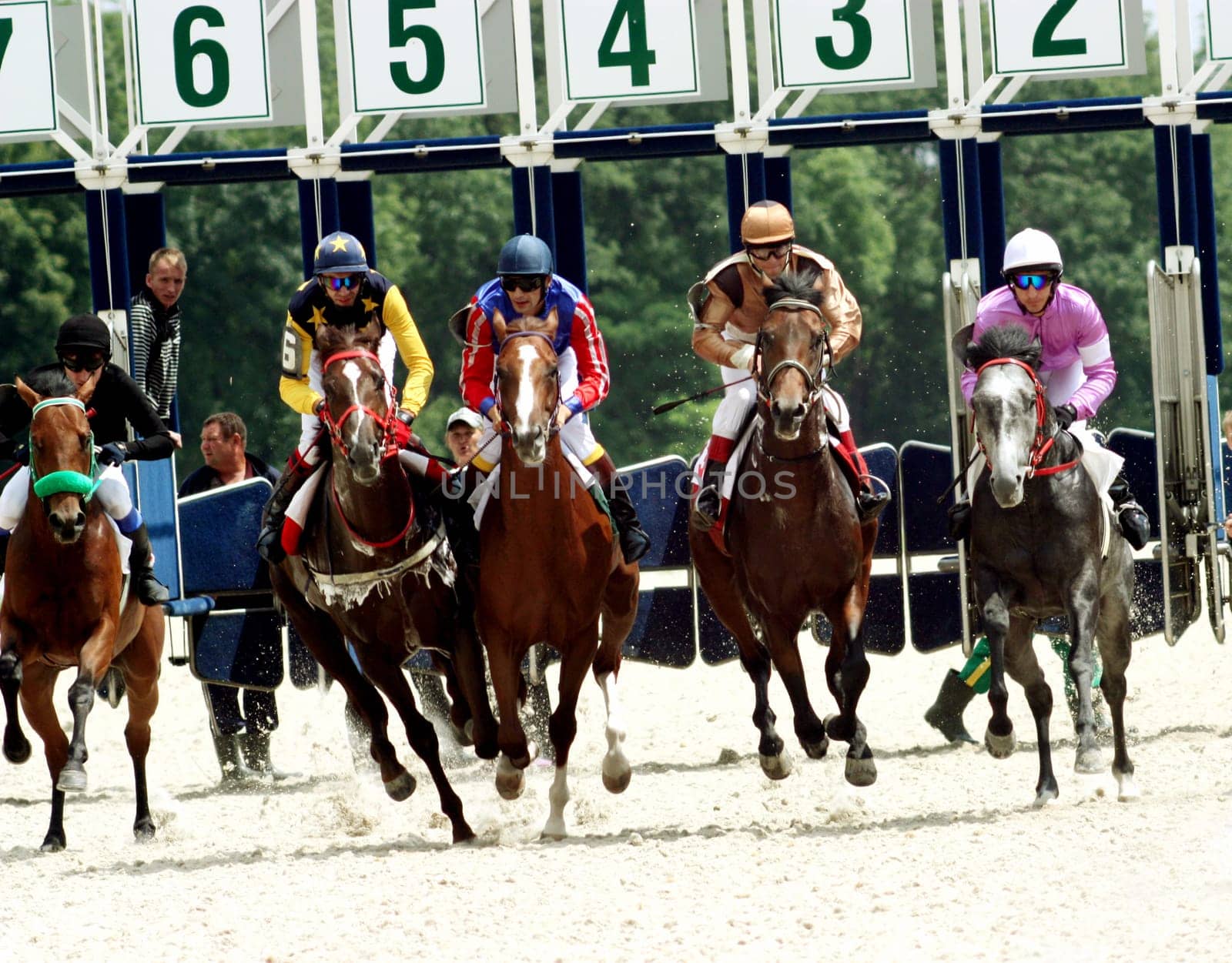 Horse racing in Pyatigorsk