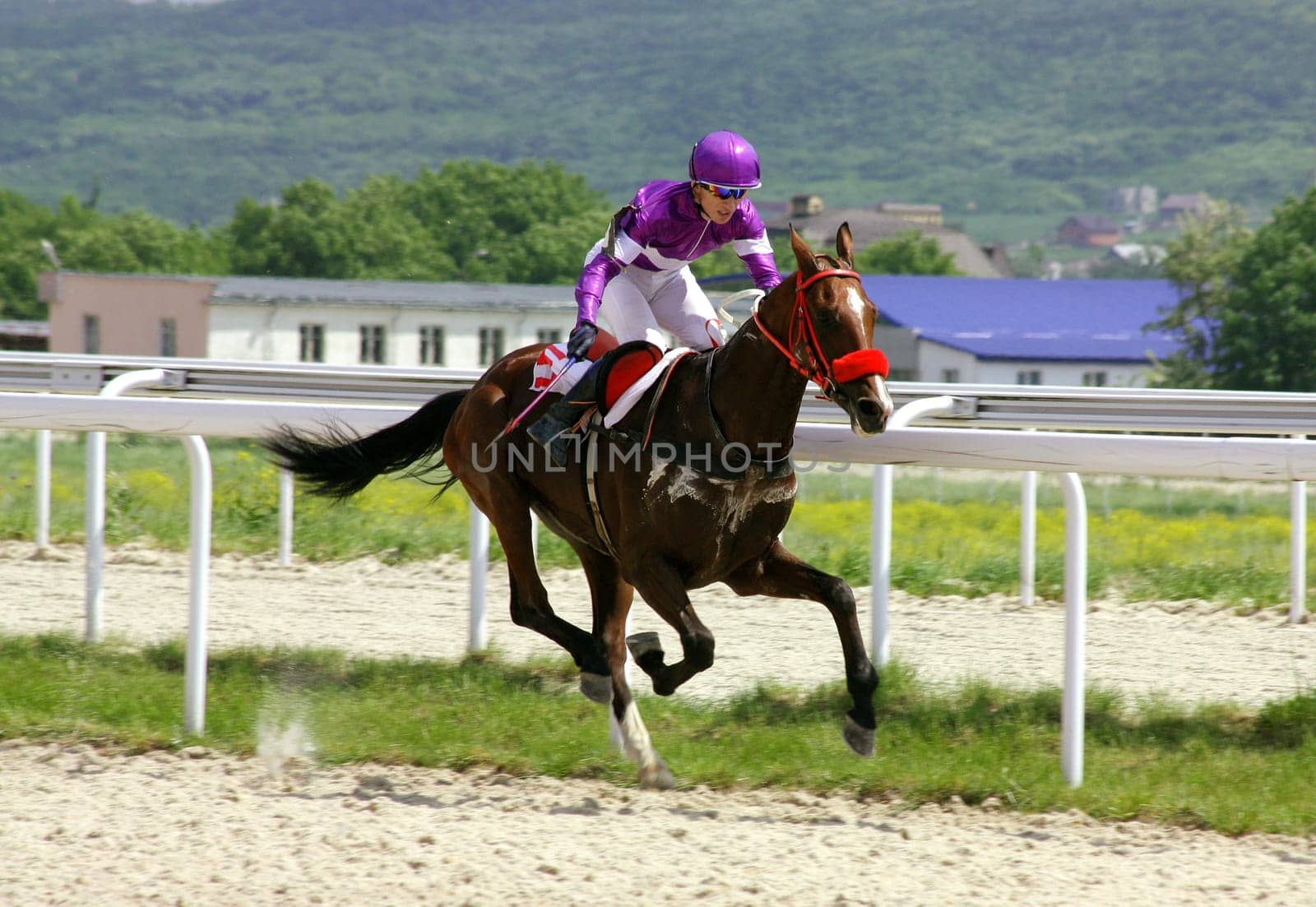 Action shot of jockeys in horse race.
