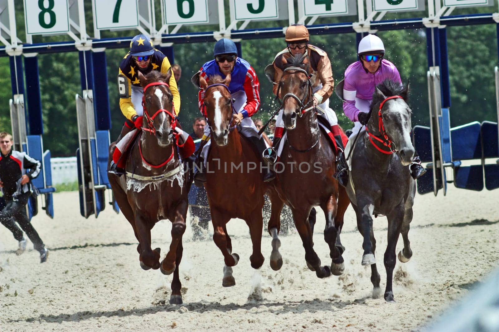 Start gates for horse races for the prize of Dombaii.