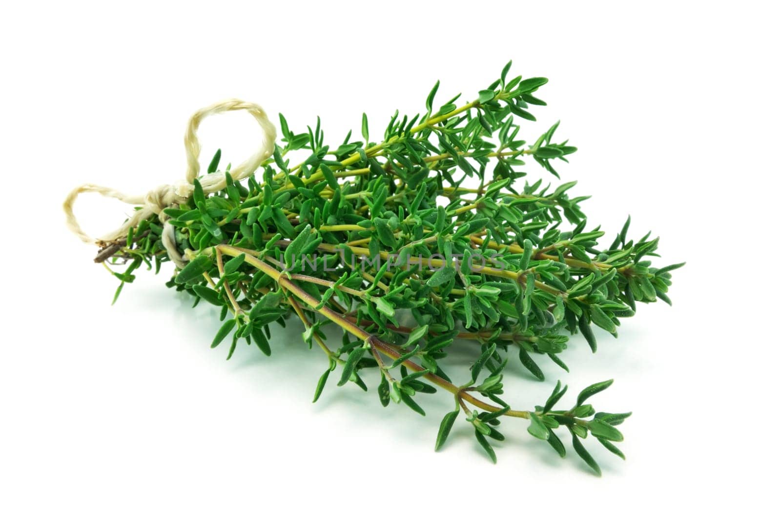 Thyme,fresh bunch of herbs isolated on a white background