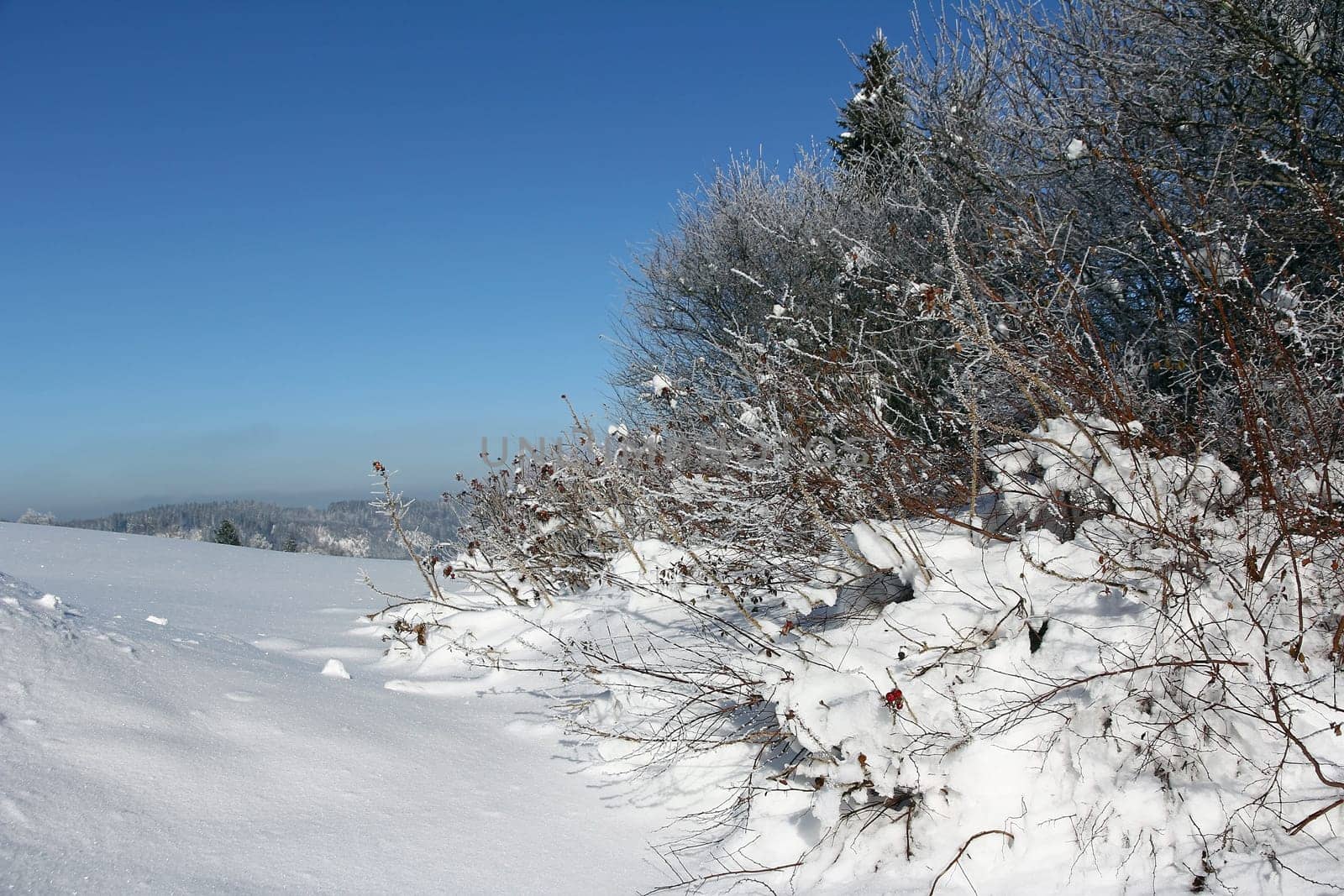 A cold sunny winter day with lots of snow
